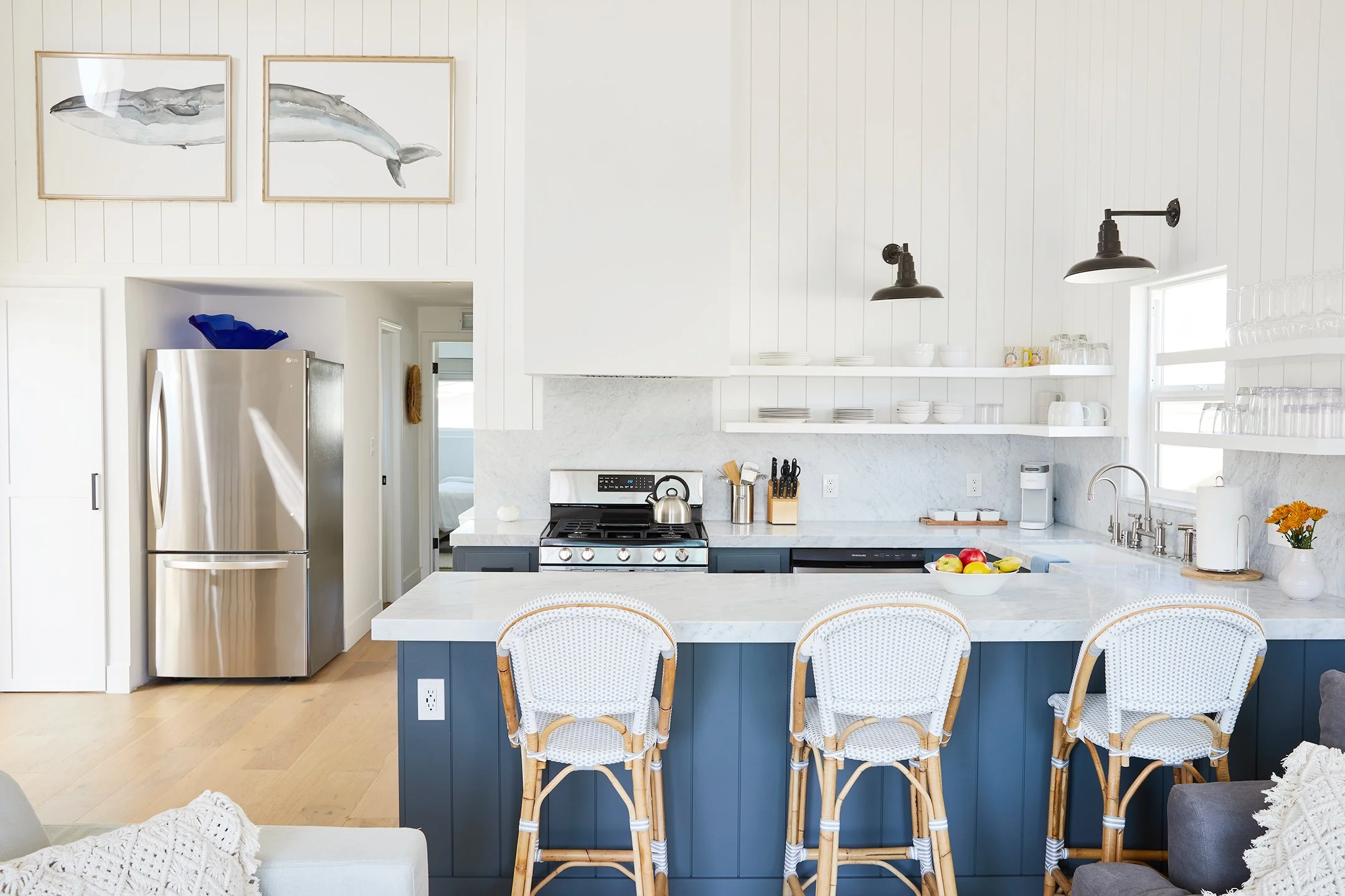 RELX_Barking Seal_©Joan Allen_9L1A2097.jpg