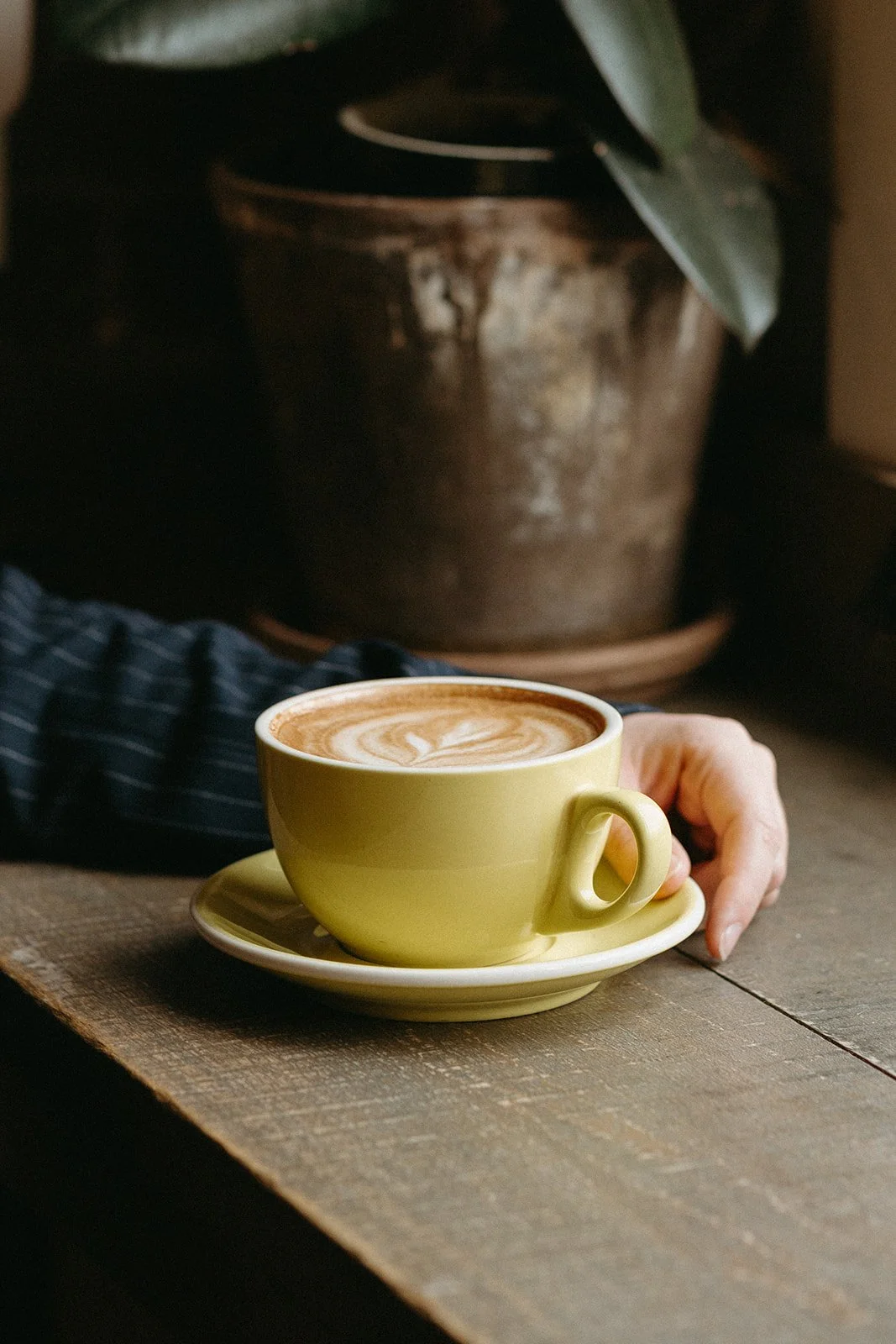 SEO Strategist and AI Optimization expert holds a coffee on a countertop at a coffee shop