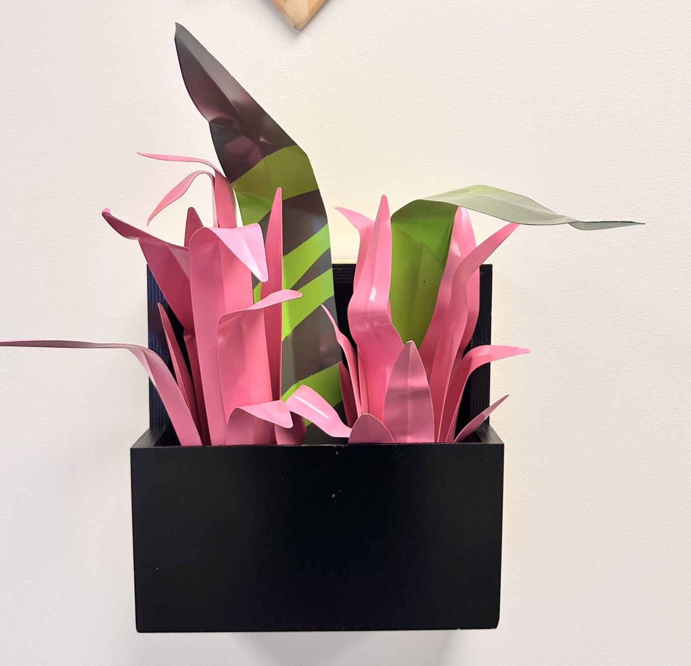 Lil Plant Series