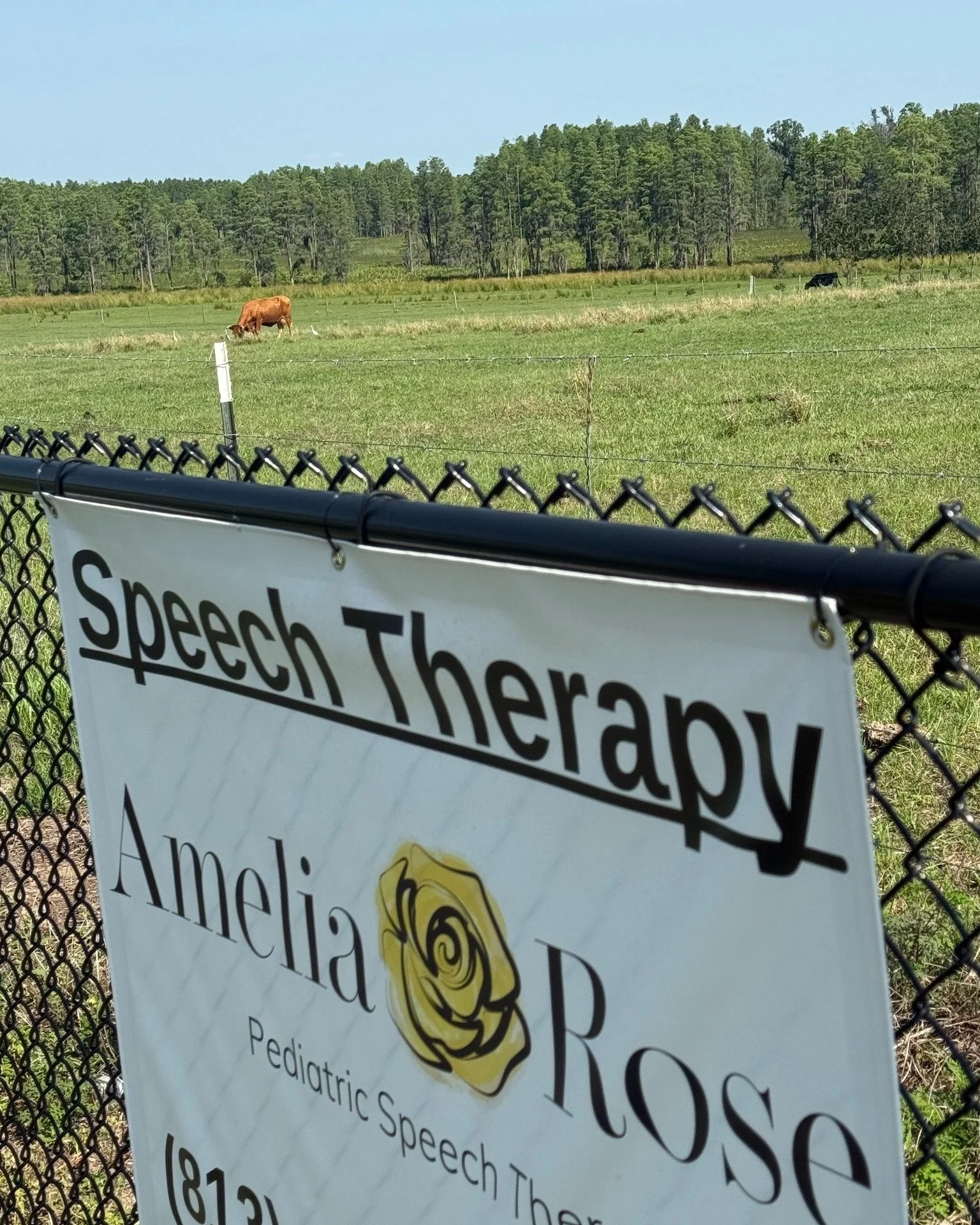 🐄 When your biggest fan is... a cow! 💛
Every day, this sweet friend stops by to check out our banner. We think she’s udderly impressed with the speech therapy happening around here! Who knew we’d be making moo-ves in the right direction