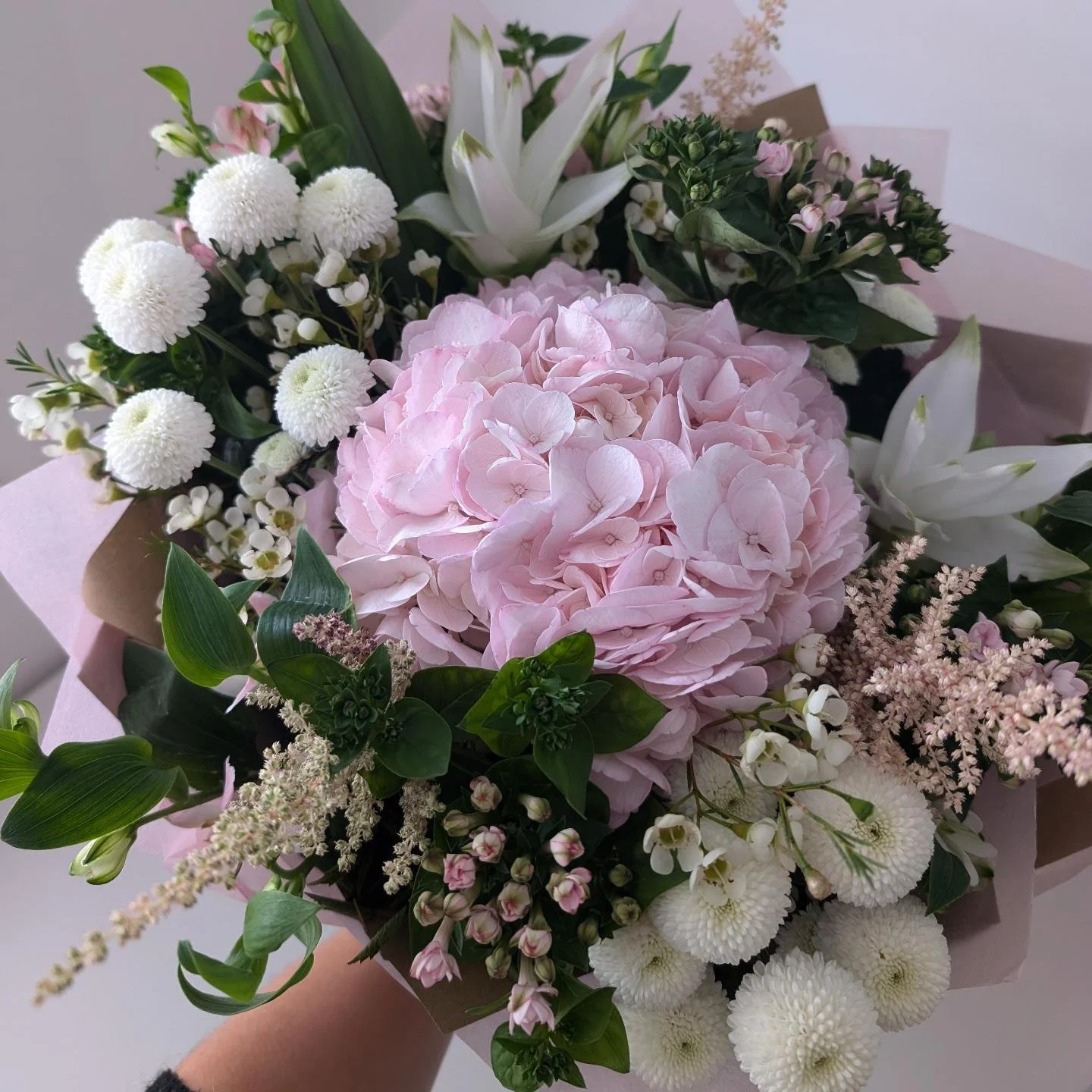 Pink and White Bouquet 🩷🤍 

The more I work with flowers and create these arrangements the more I see what flowers are great to work with and Hydrangeas are one of them 😍 

#newtonlewillowsflorist #pink #white #giftbouquet #hydrangeas