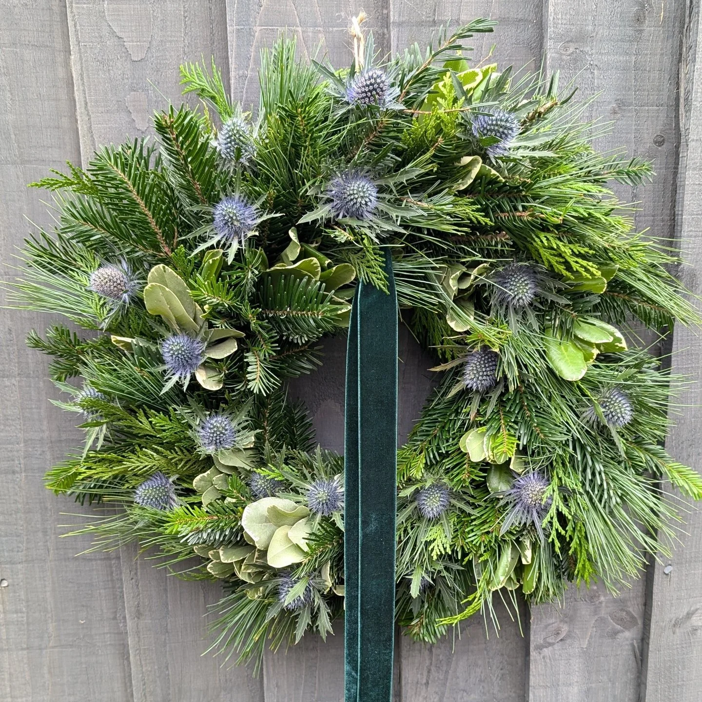 🌟 REMINDER 🌟
Festive Wreaths available for pre-order, still time to get yours in.
🌿 Prices start from £20
🌿 Wreaths are on a 10" moss base
🌿 Ribbons can be changed to your own colour preference
🌿 Collection / Delivery available f