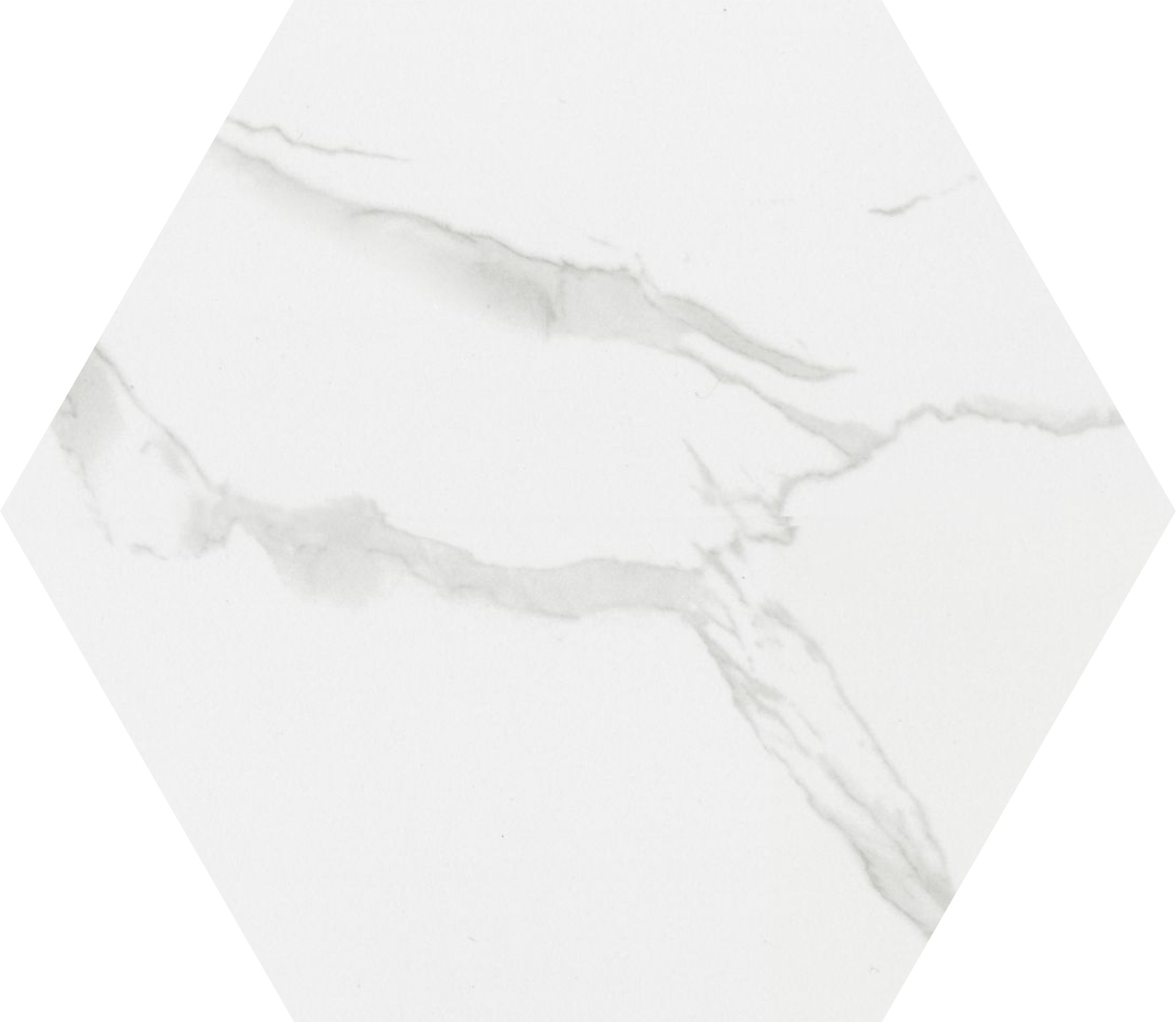 Cipriani Carrara 8x9 Hexagon