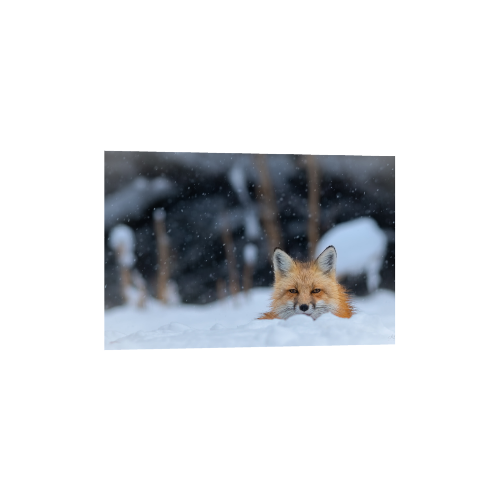ptq_1_3_853_0_12960_8640_0_false_ffffff_0_0_.png