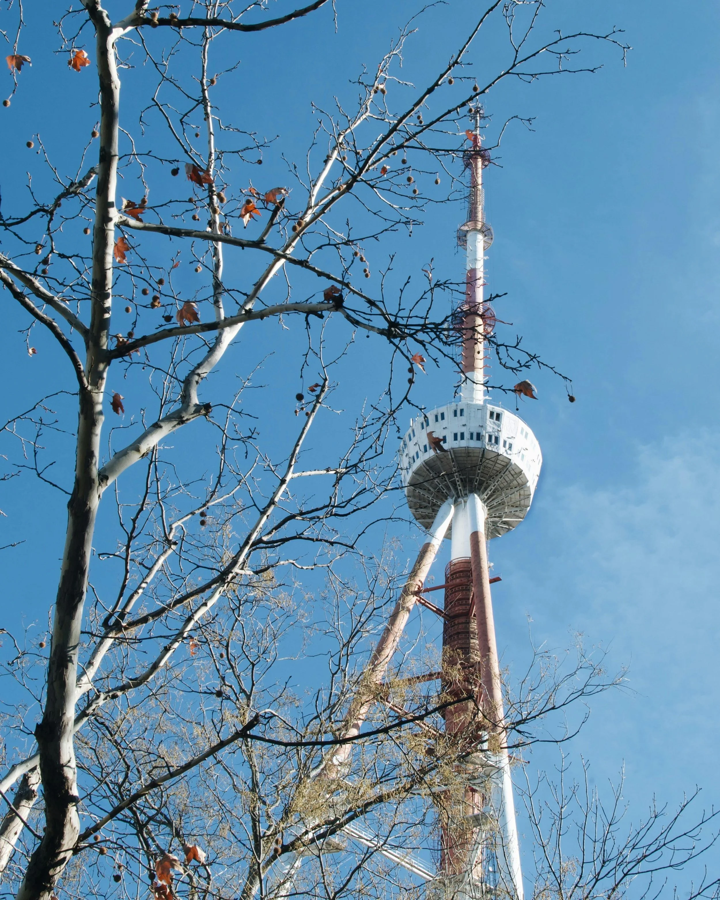 トビリシ不動産投資：ヴァケ地区の優位性と他地区比較