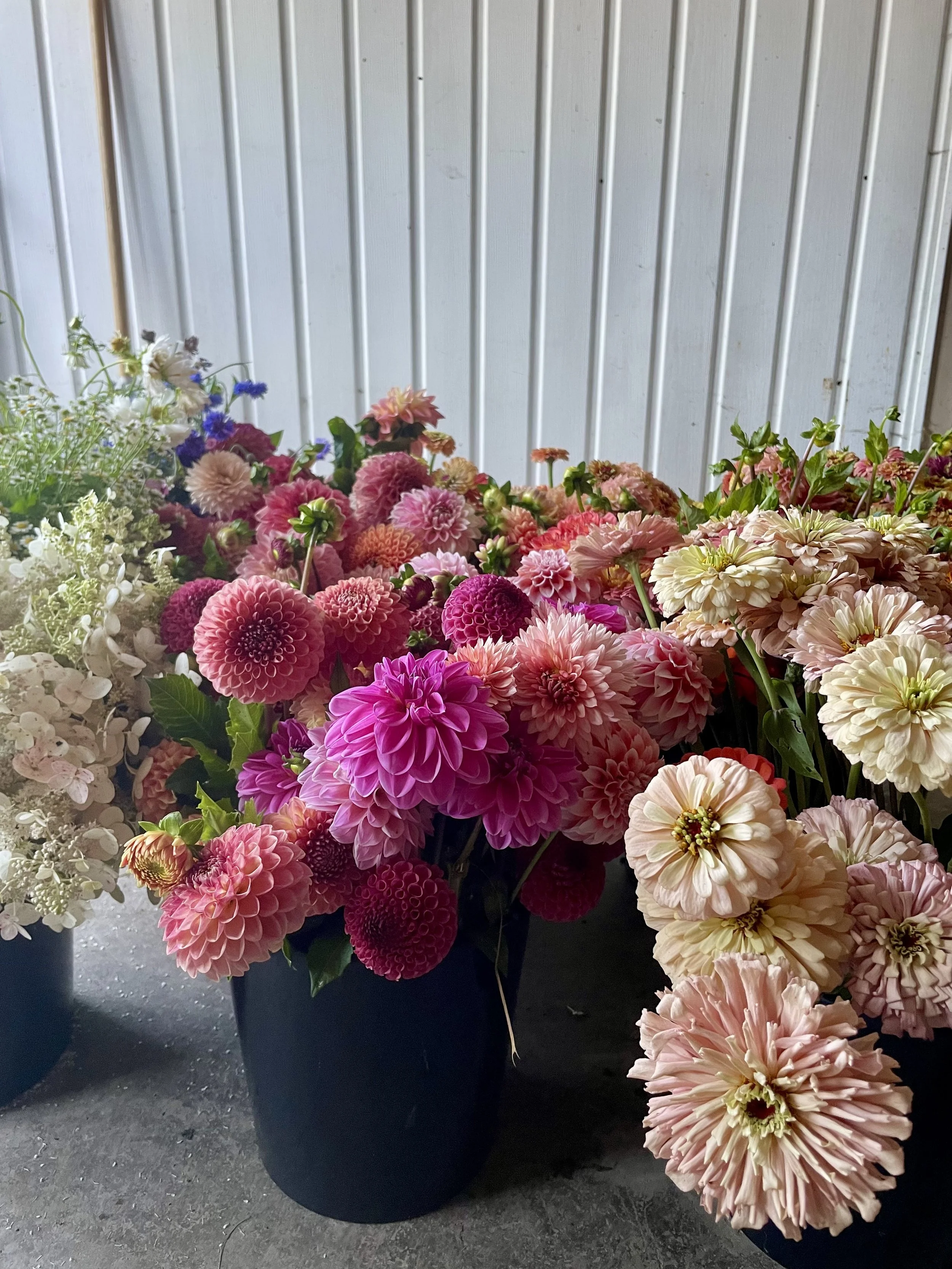bulk-bucket-flowers-2.jpeg