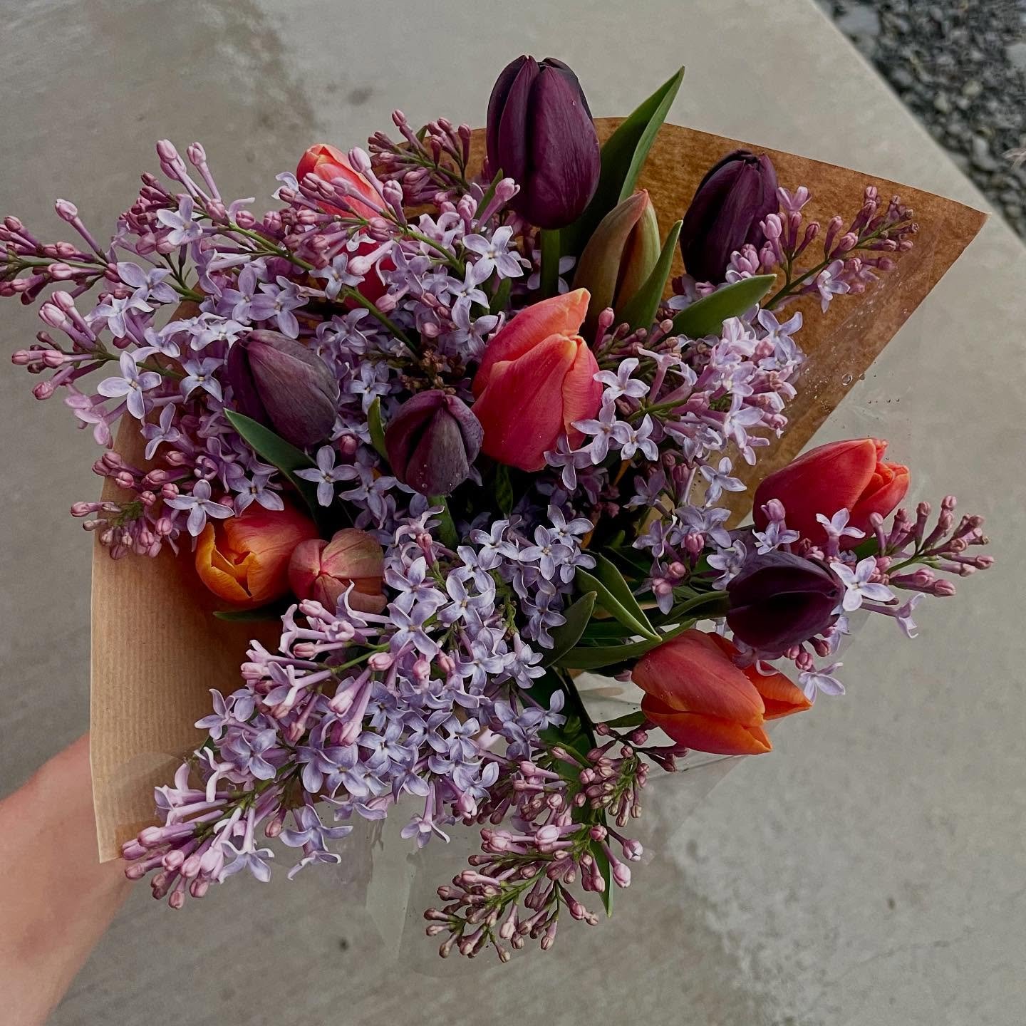 Sad to announce that today will be the last day that we offer tulip &amp; lilac bouquets😭

We won&rsquo;t have bouquets available until mid/end of July, when our summer flowers start to bloom. BUTTT&hellip; we are making an exception for our subscri