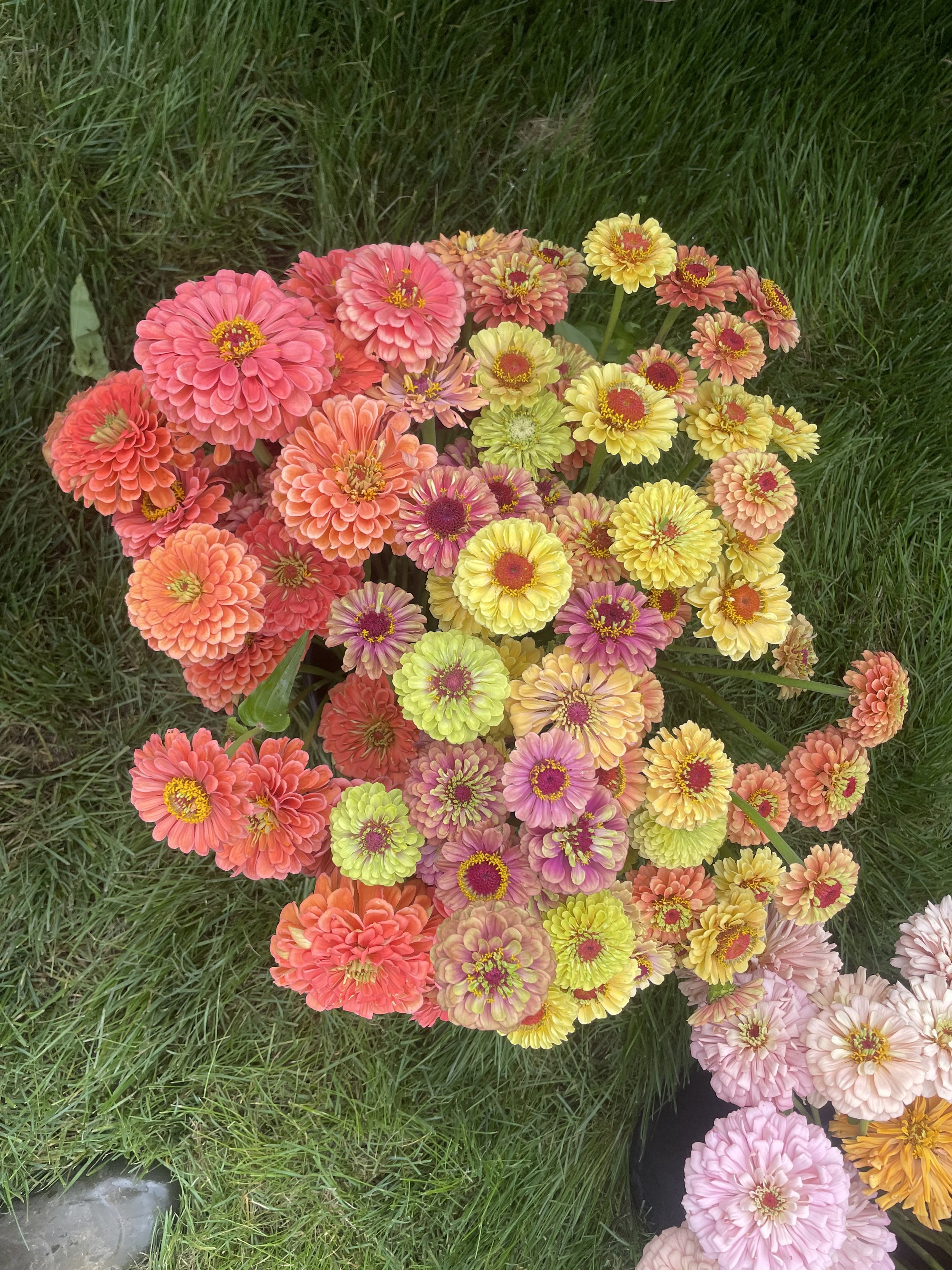 diy-bucket-flowers4.jpeg