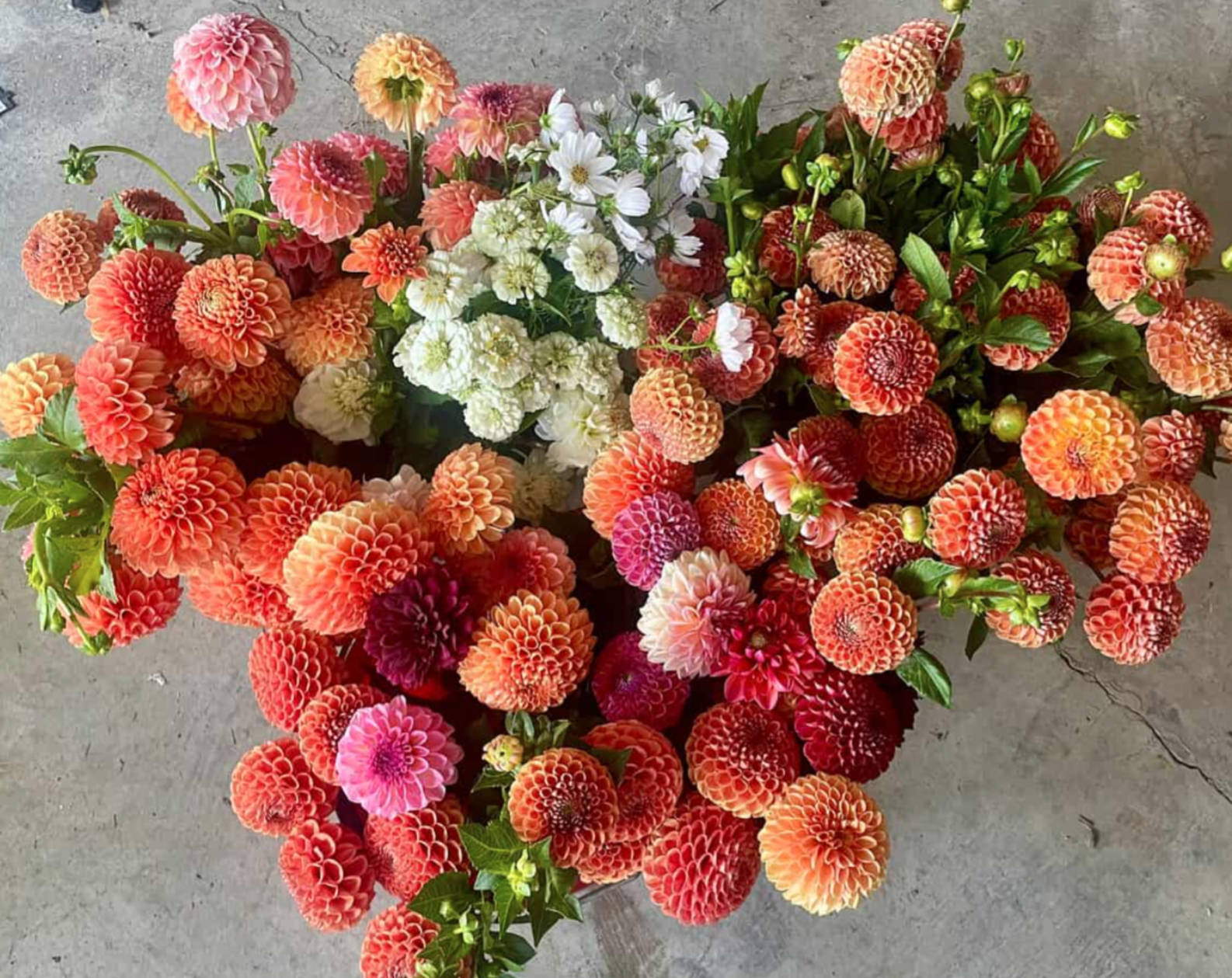 Screen Shot 2026-03-21 at 9.50.32 PM.png