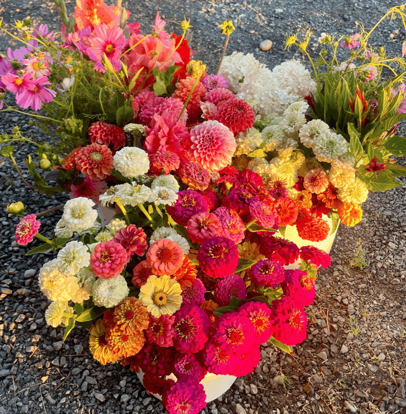 Screen Shot 2026-03-21 at 9.50.58 PM.png