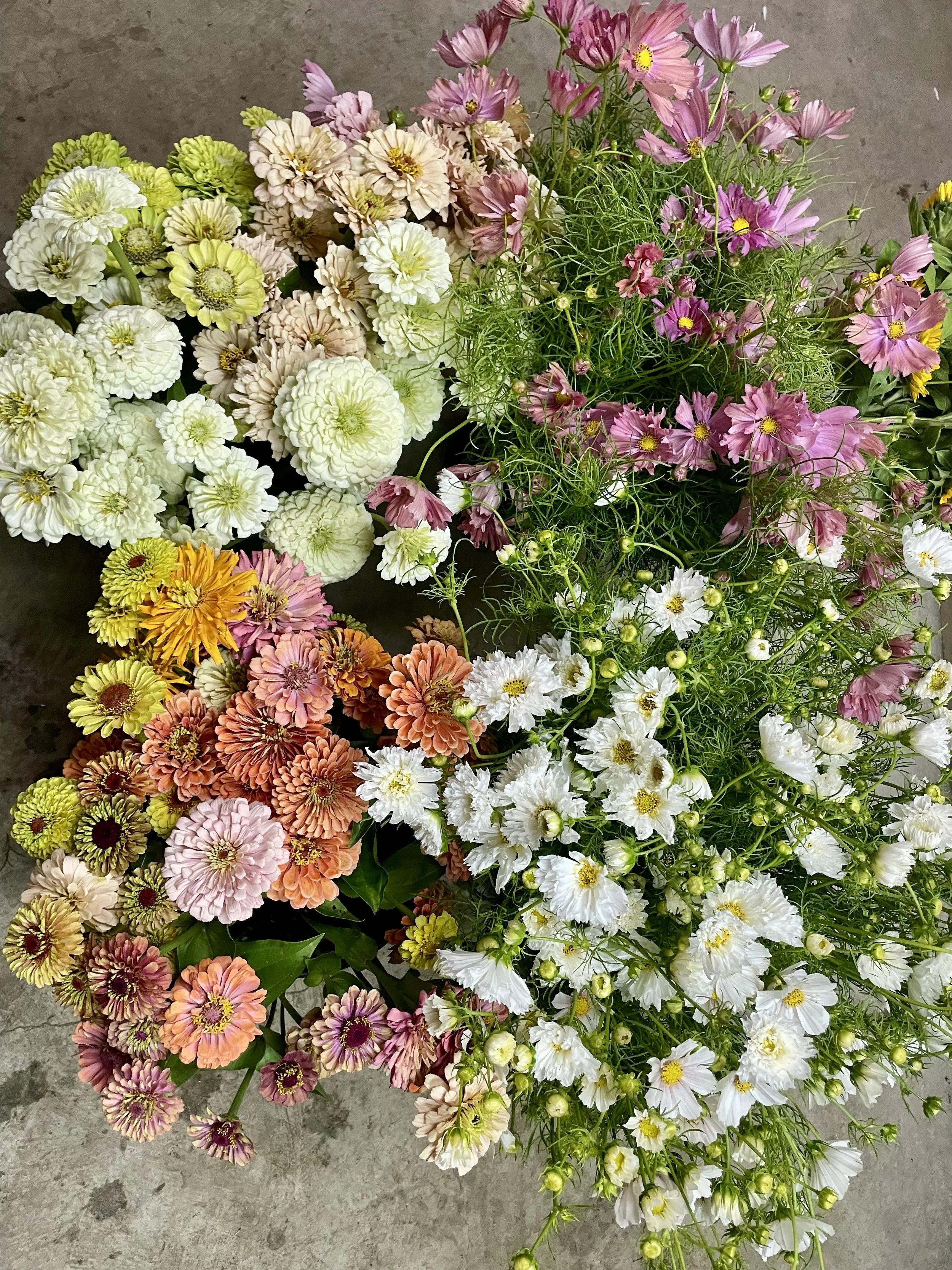 diy-bucket-flowers-3.jpeg