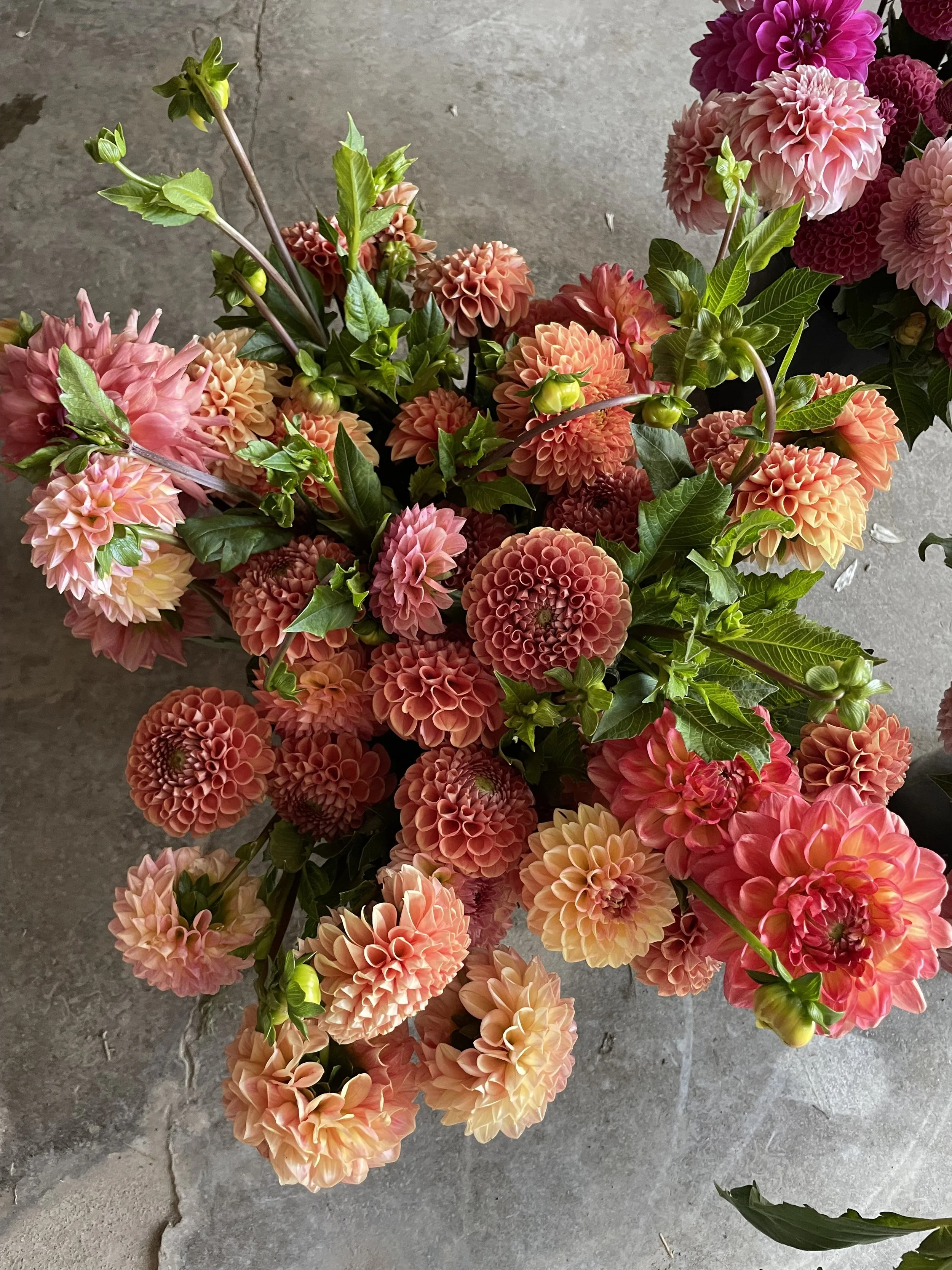bulk-bucket-flowers-4.jpeg