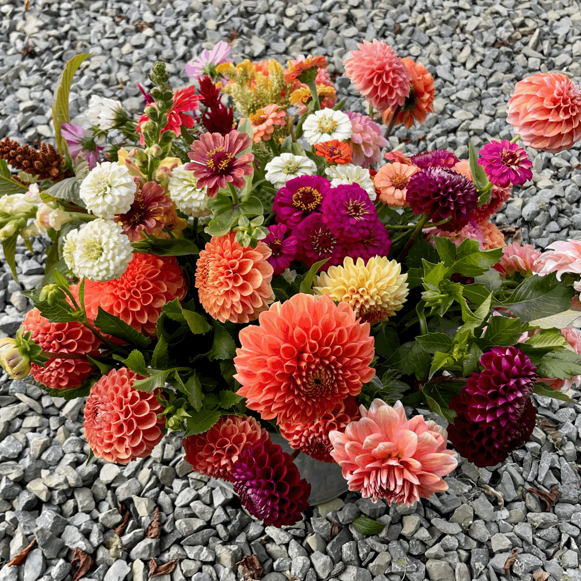 Bucket of Flowers Subscription | Mother's Day Special