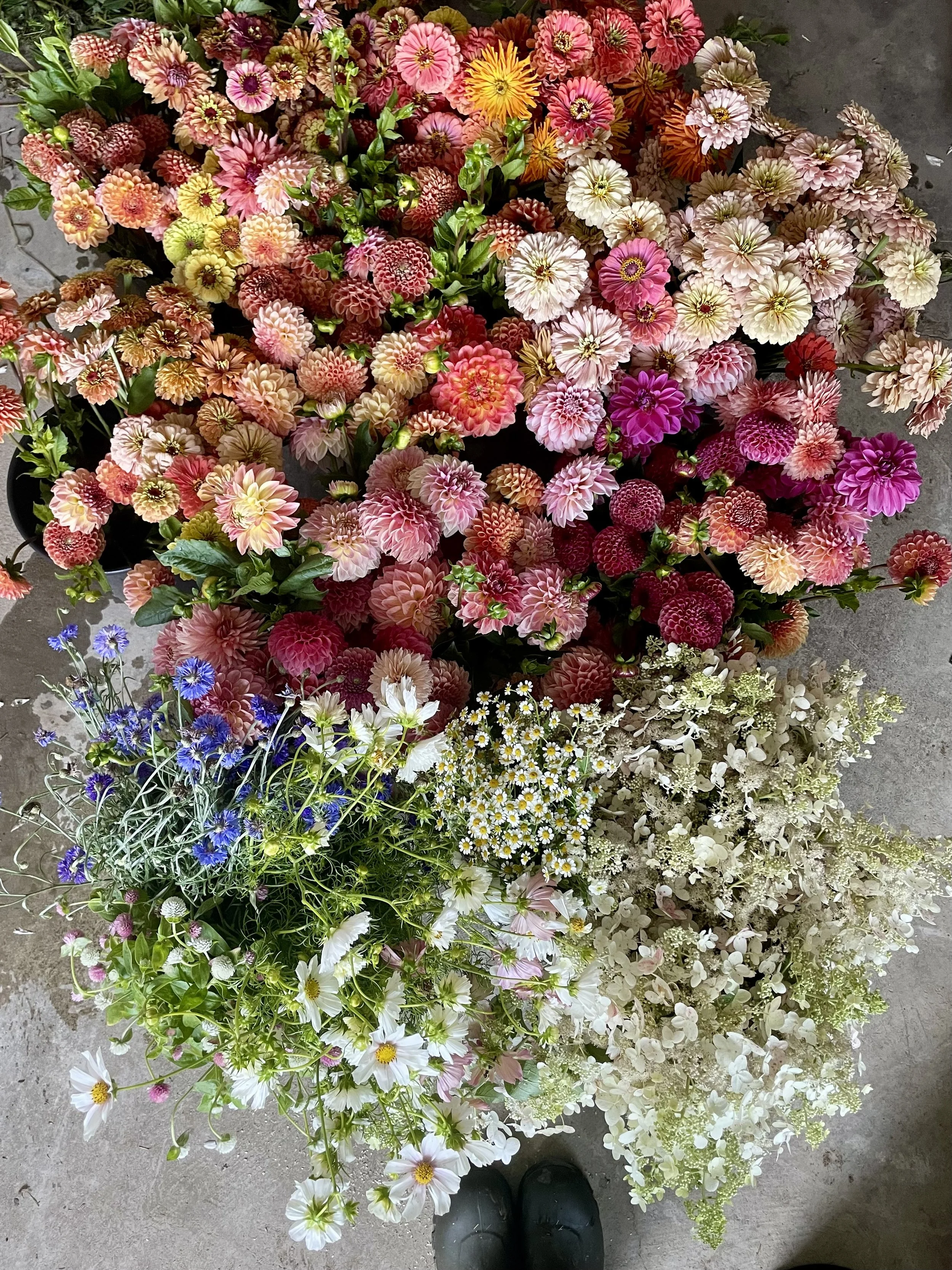 bulk-bucket-flowers-3.jpeg