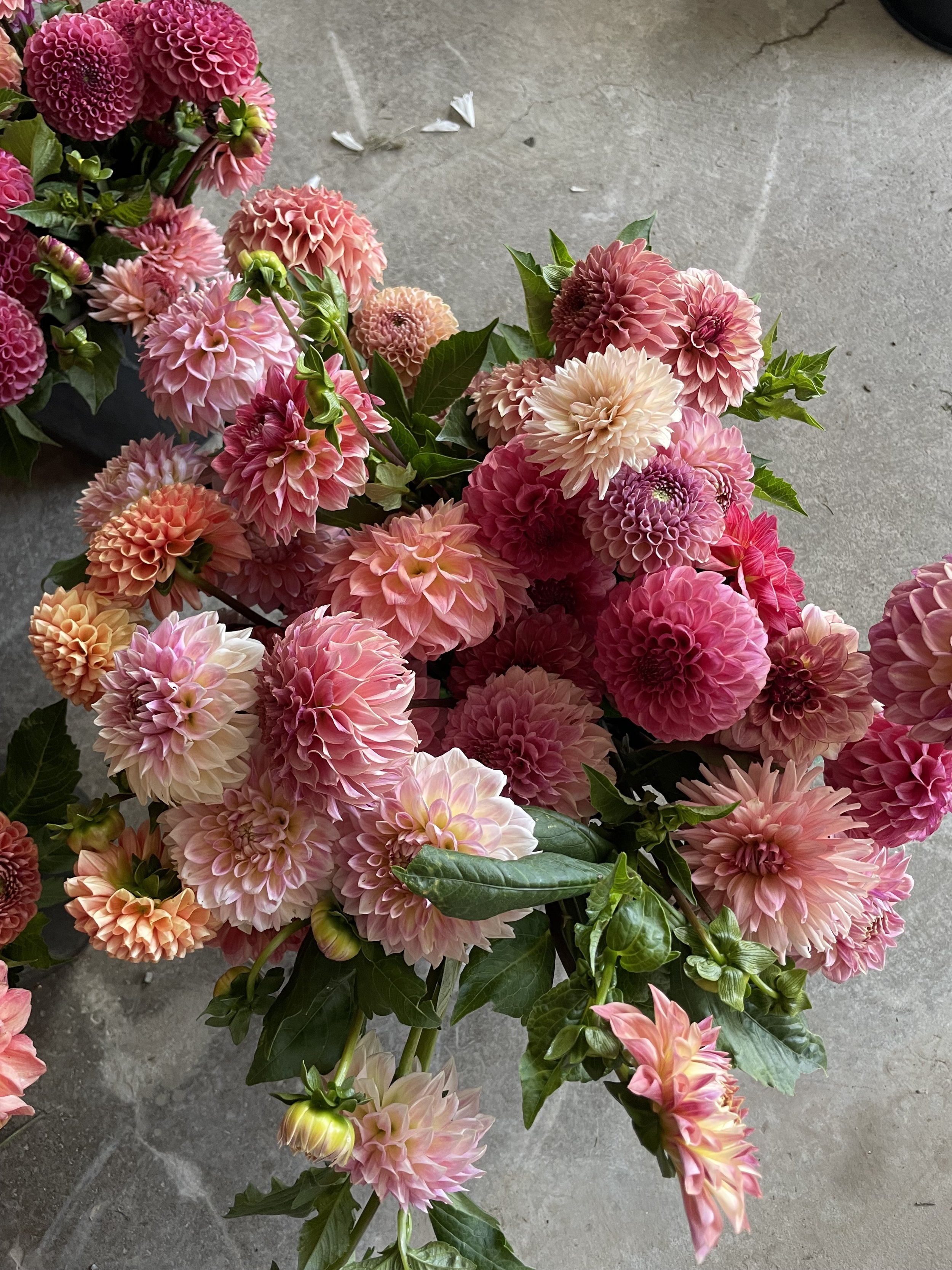 DIY Bucket of Flowers