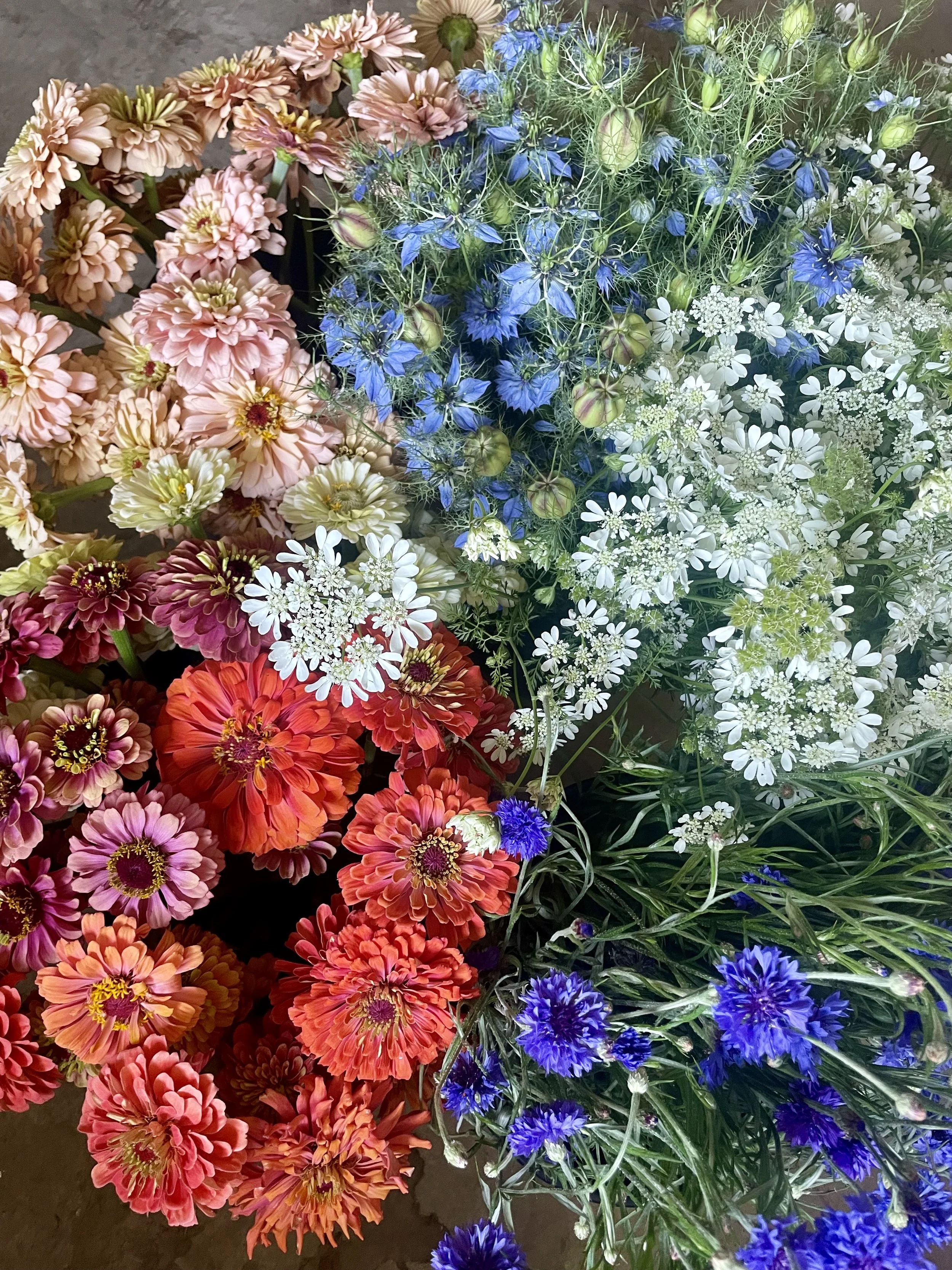diy-bucket-flowers2.jpeg