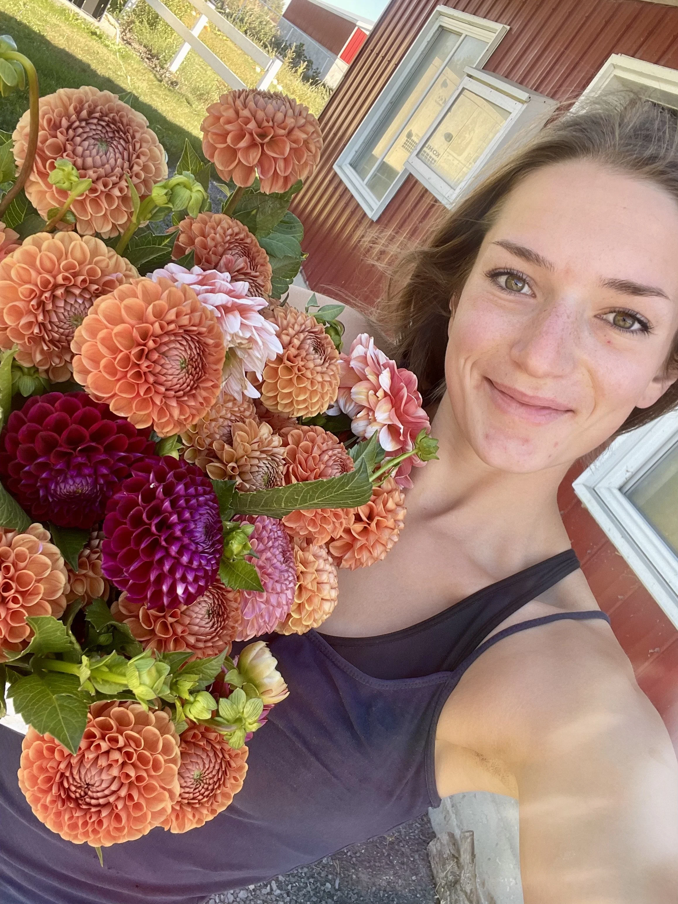 Flower farmer holding fresh dahlia blooms grown in Canada