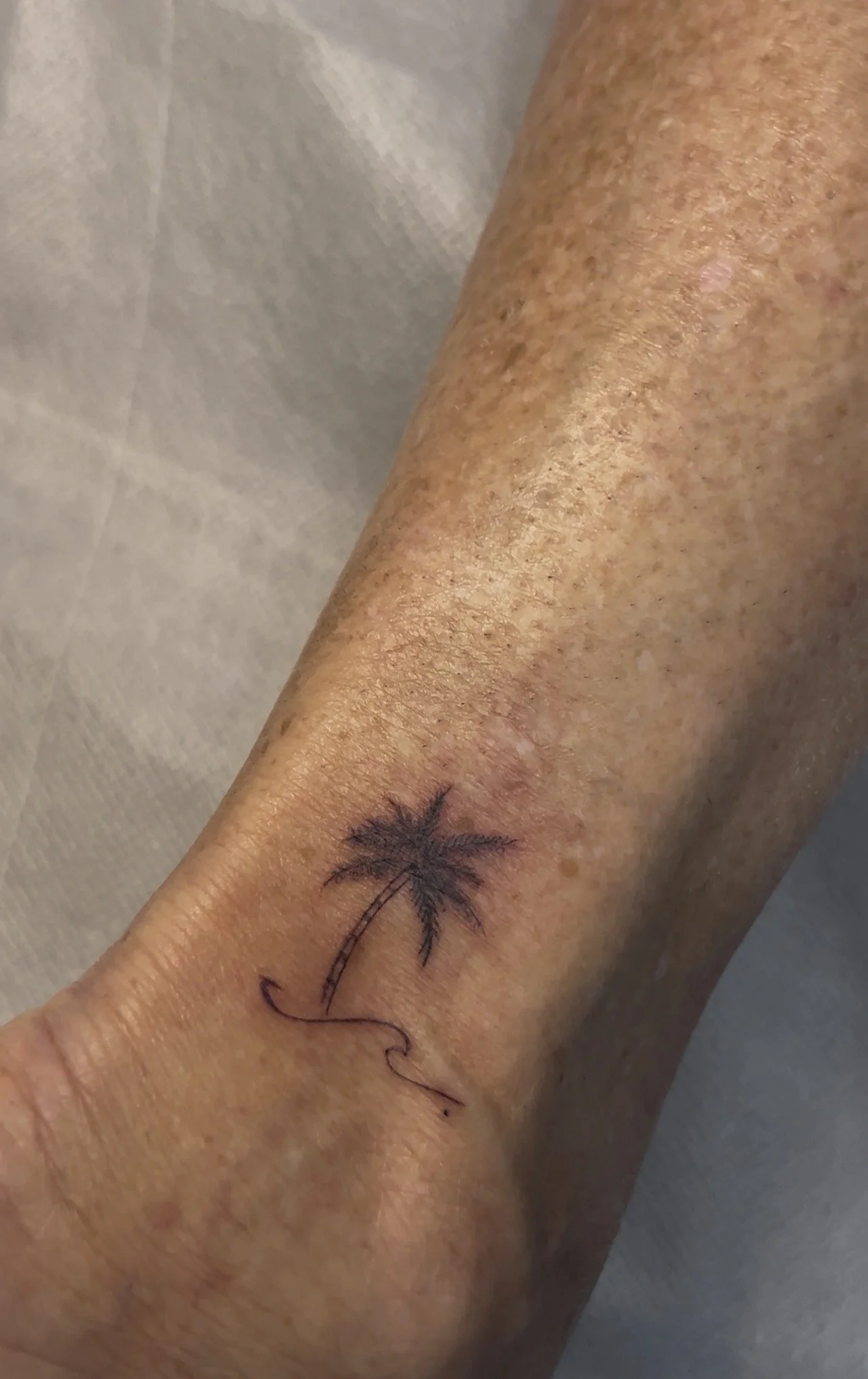 Close-up of a person's arm with a small, simple black tattoo of a palm tree on the forearm.