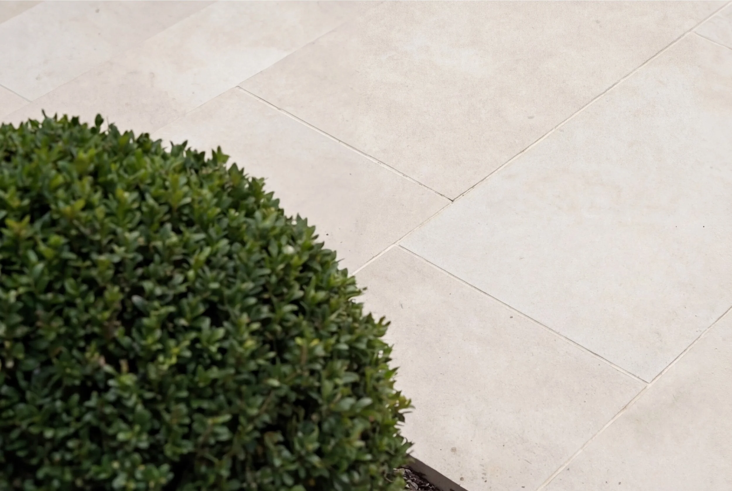 Garden details 2.jpeg