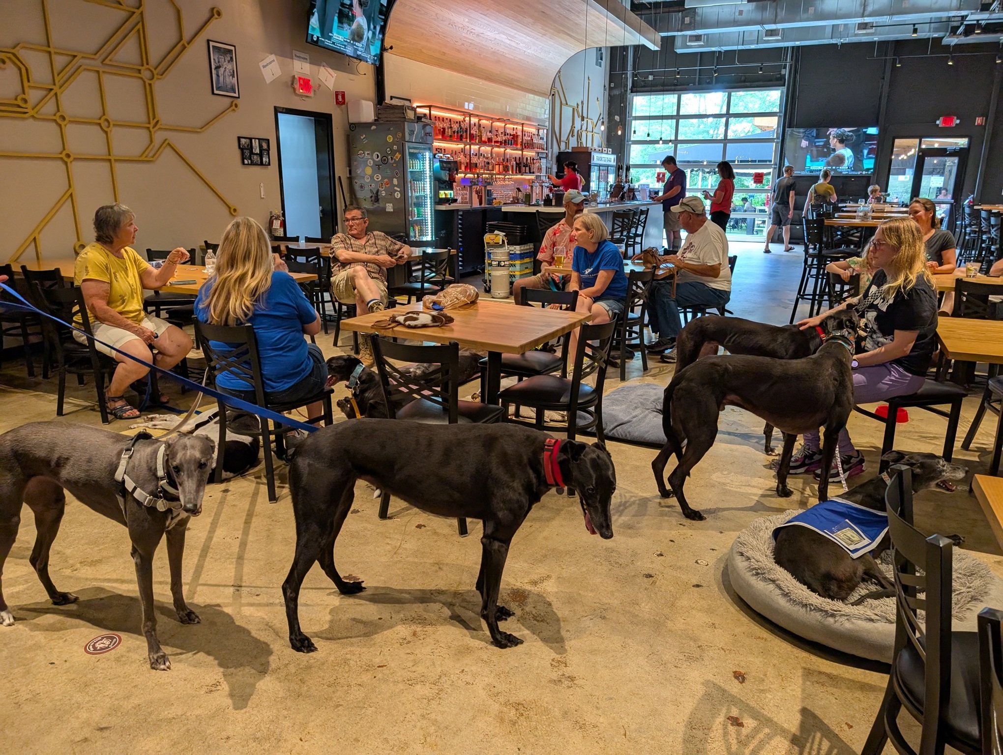 Fortnight Brewing Meet n Greet