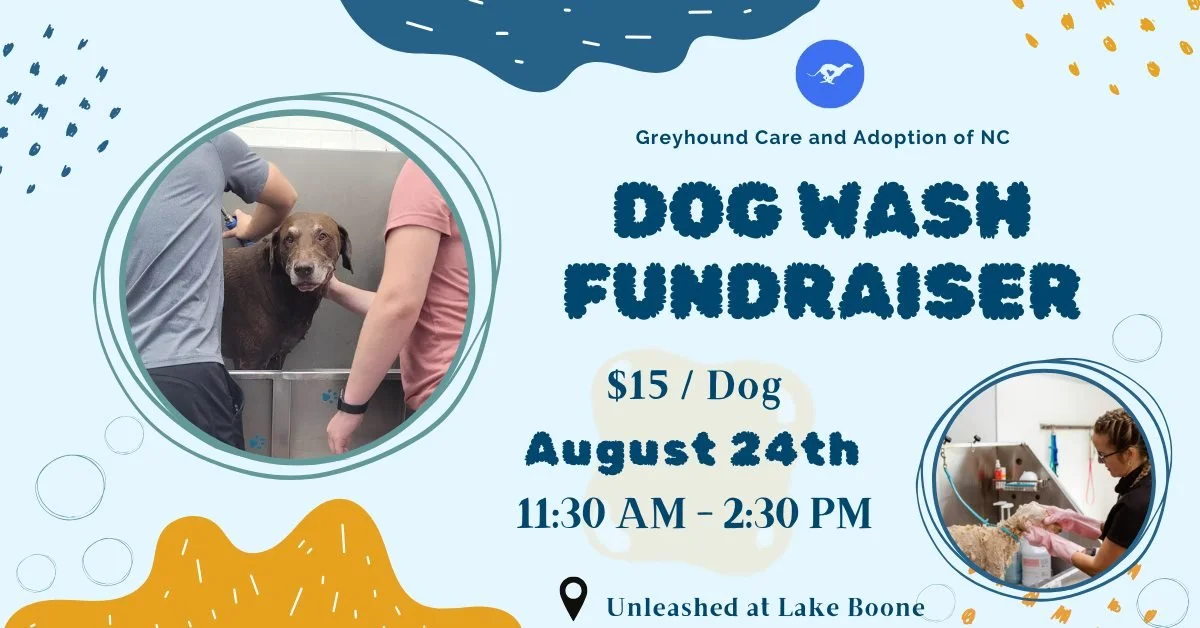 Dog Wash Fundraiser - all breeds