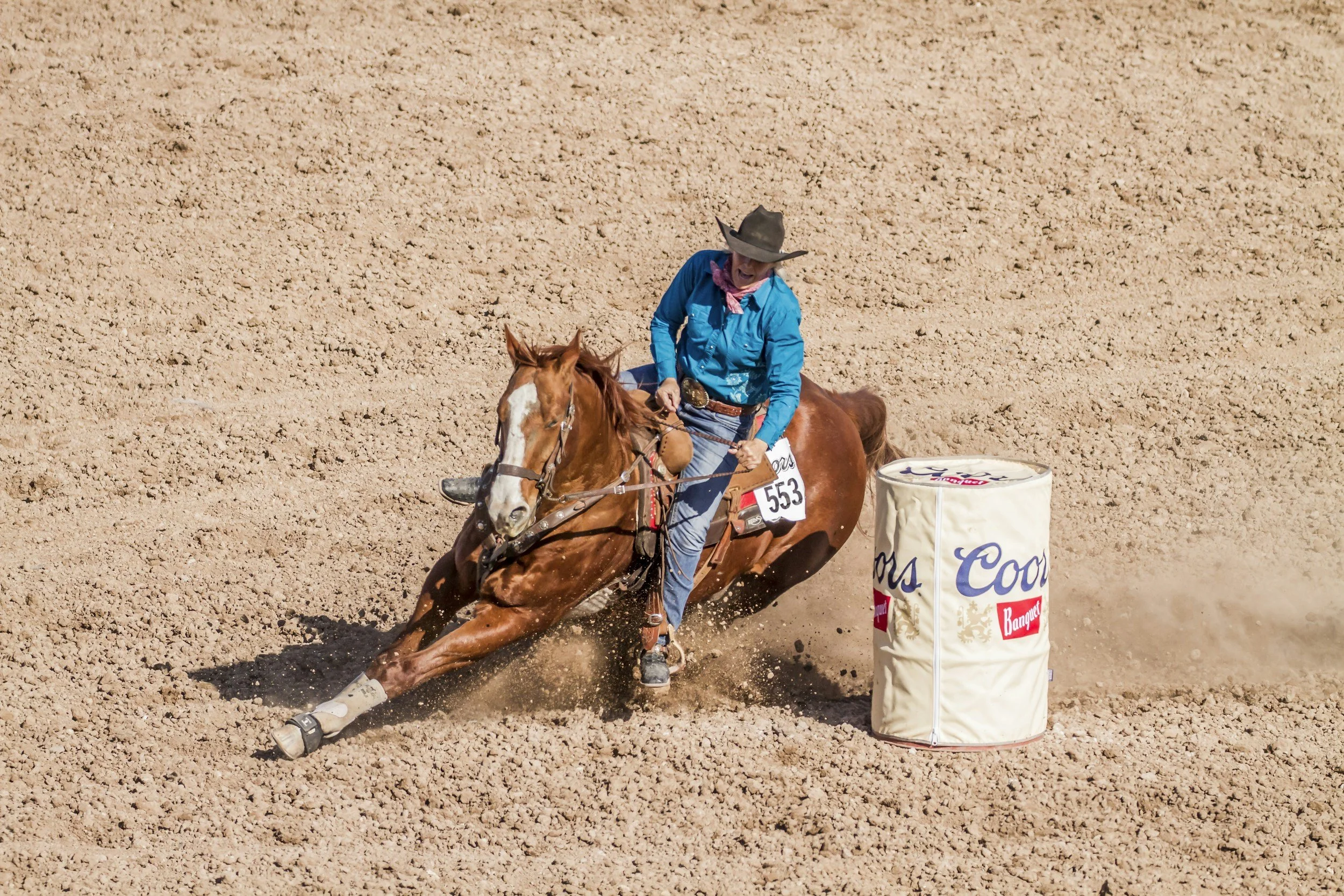 Equine Massage Therapy for Barrel Racing Horses in Hudson Valley, NY