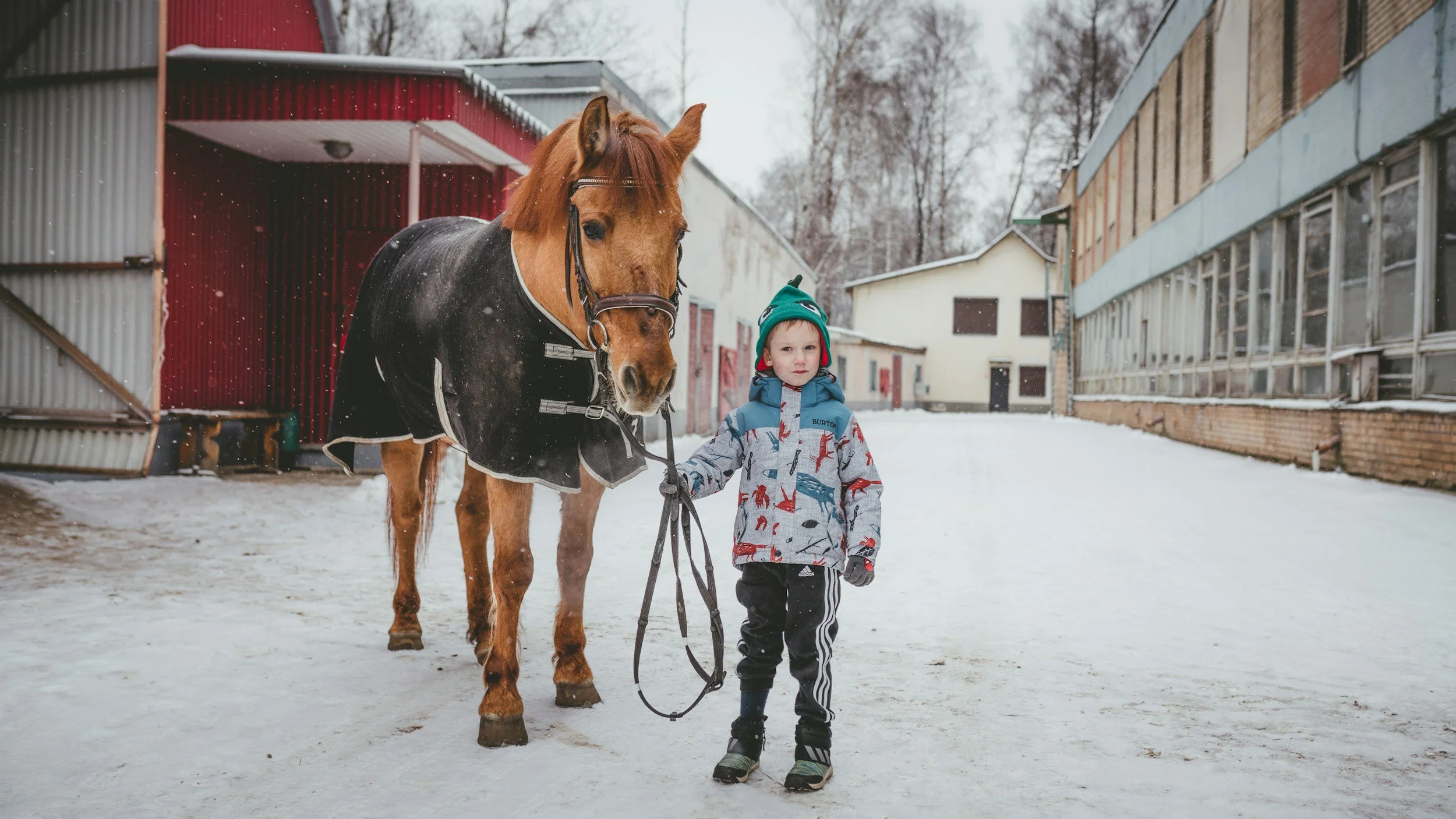 Equine Massage Therapy for Short-Stirrup Horses and Ponies in Hudson Valley, NY