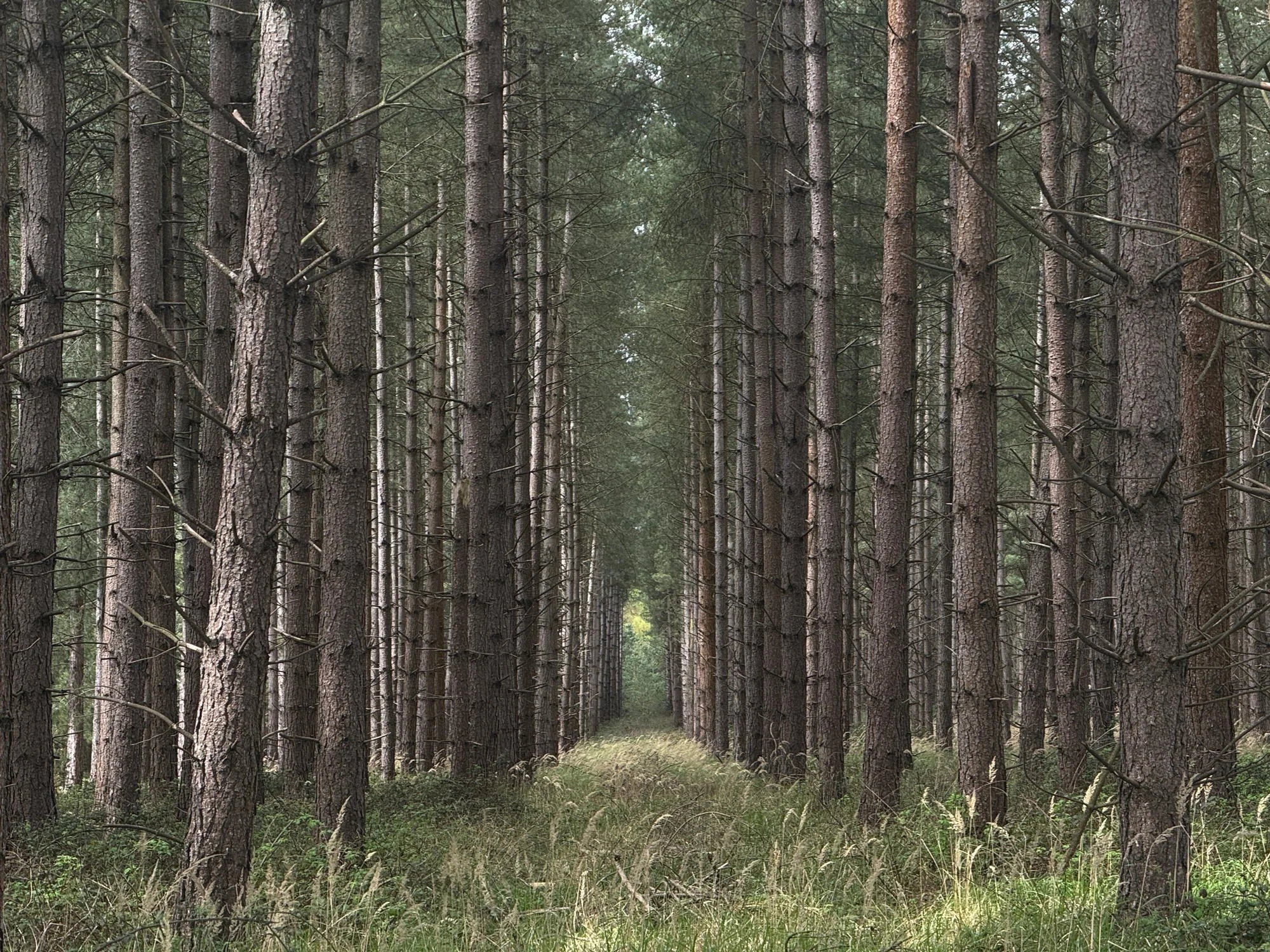 You don’t go to your gynaecologist to get your teeth checked.