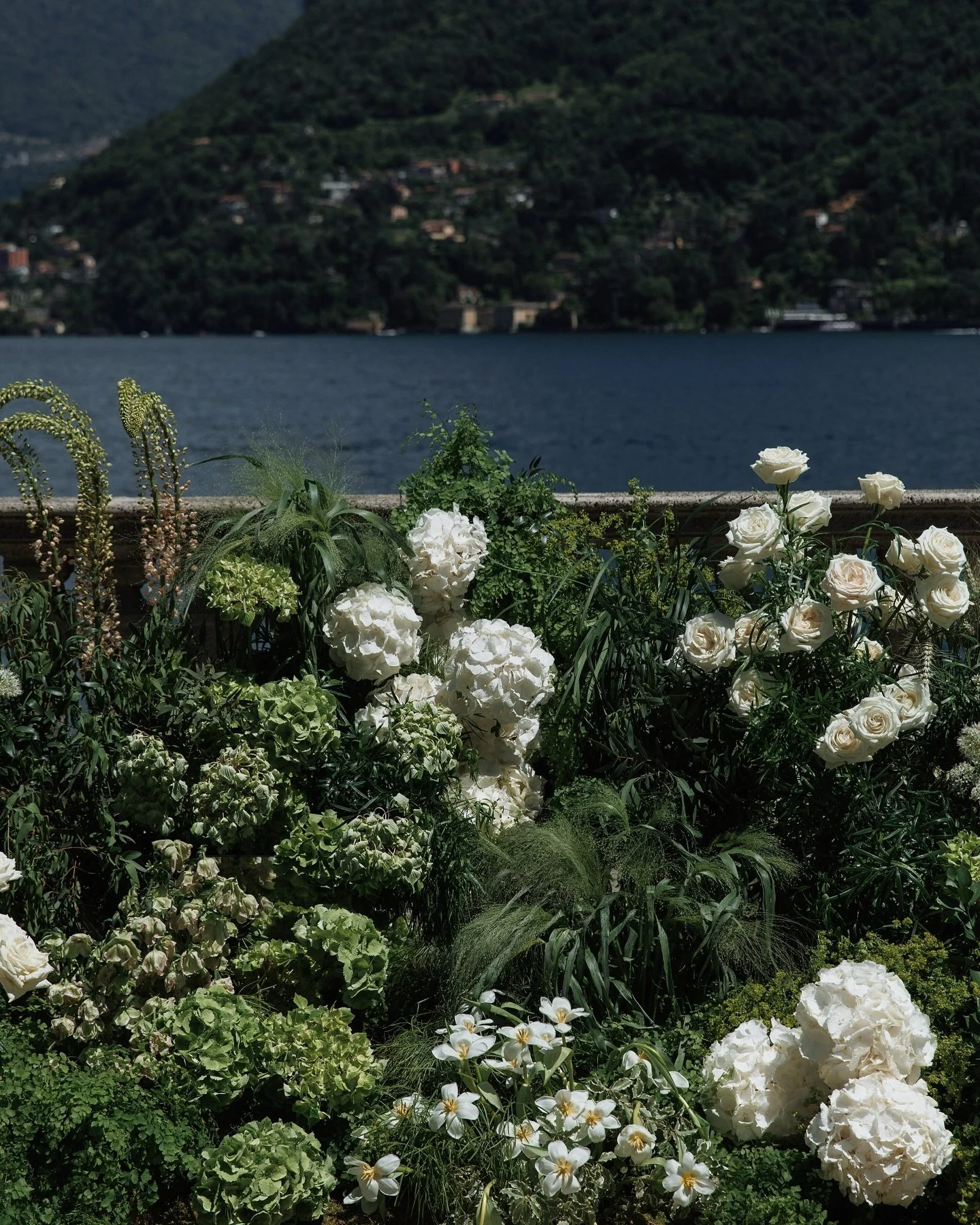 Aaron &amp; Brandon&rsquo;s celebration at the iconic Villa Pizzo was all about balance &mdash; modern romance, timeless elegance, and florals that spoke their story without saying a word.

We layered sculptural greens, white hydrangeas and tulips, w
