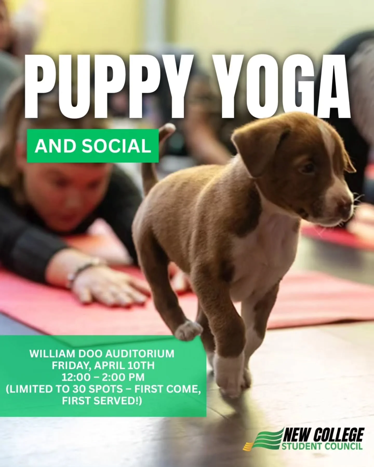 POV: You&rsquo;re de-stressing with puppies next Friday. 🐾🐶

​Finals season is looming, but the pups are here to save the day! Join NCSC for a morning of Puppy Yoga followed by a Puppy Social to recharge and destress. Whether you&rsquo;re here for 