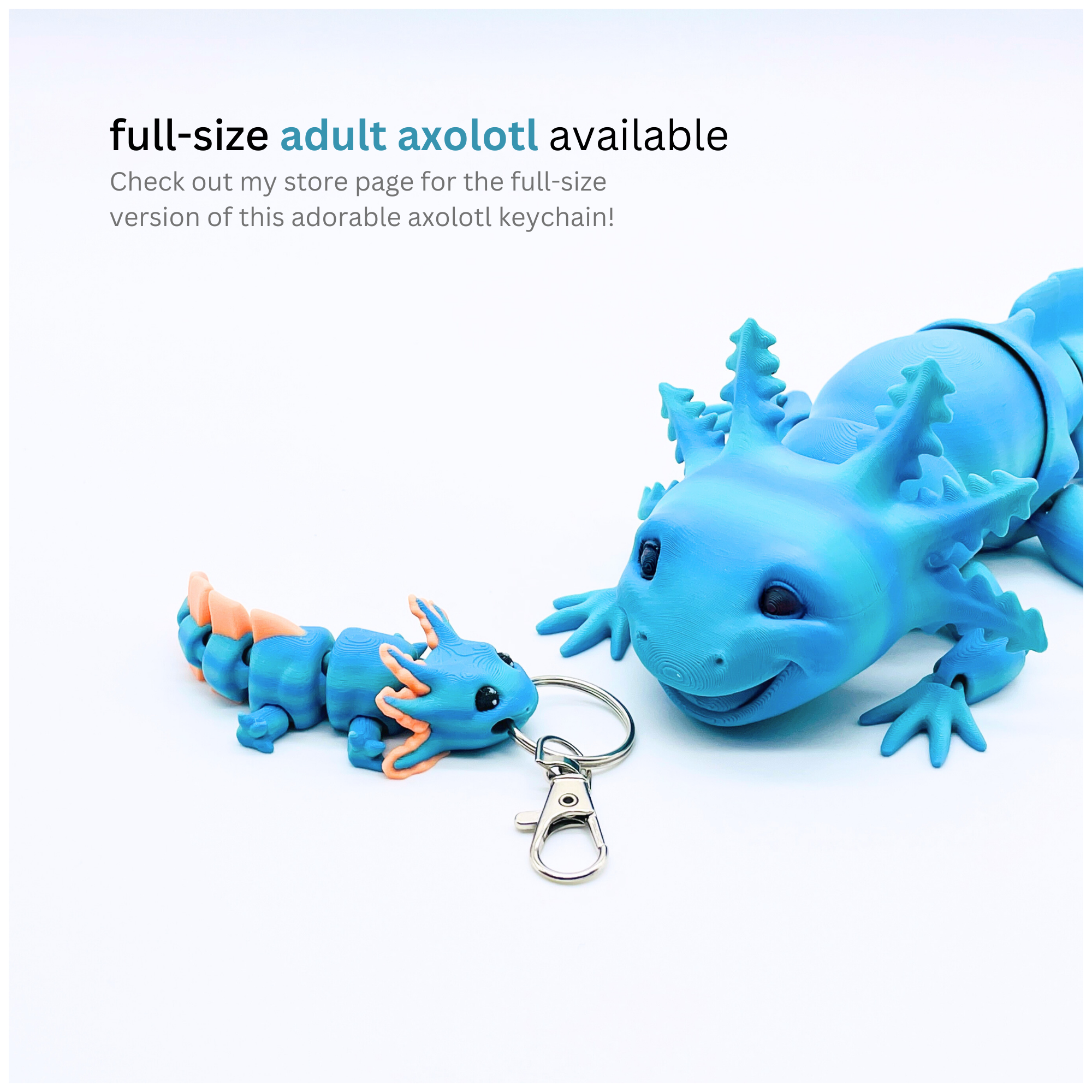 full-size-axolotl.png