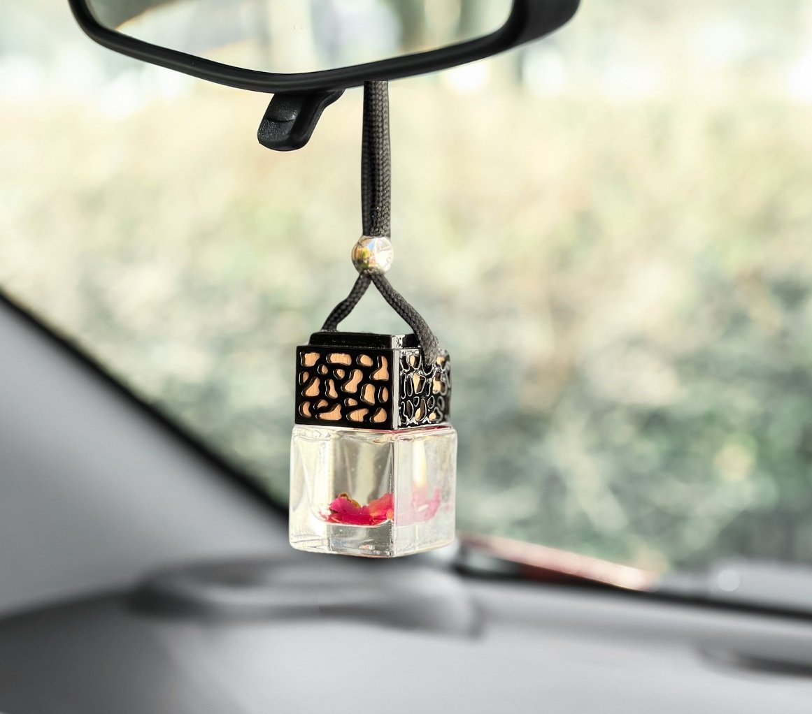 Car diffuser - Free Spirit