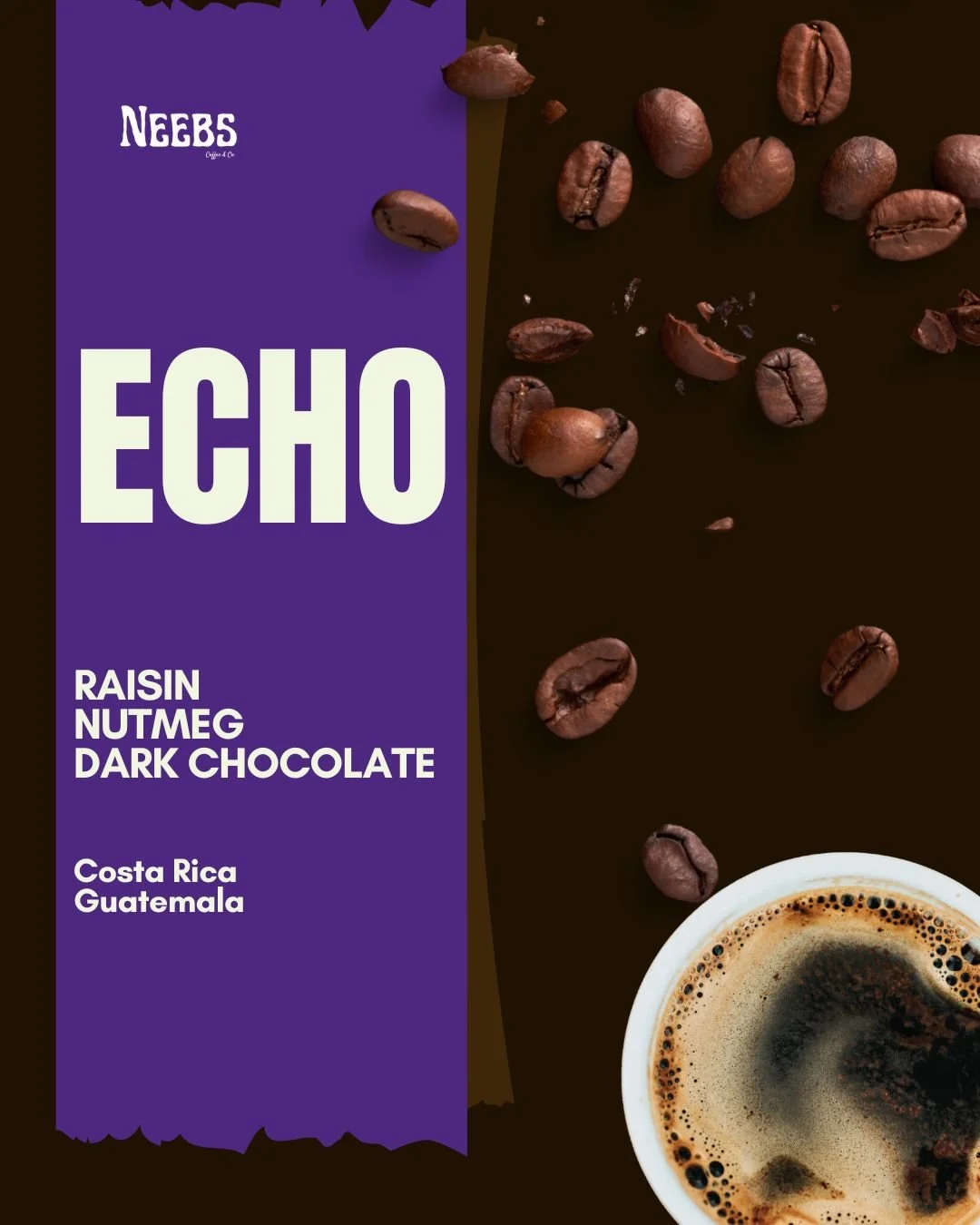 ECHO - Dark Coffee