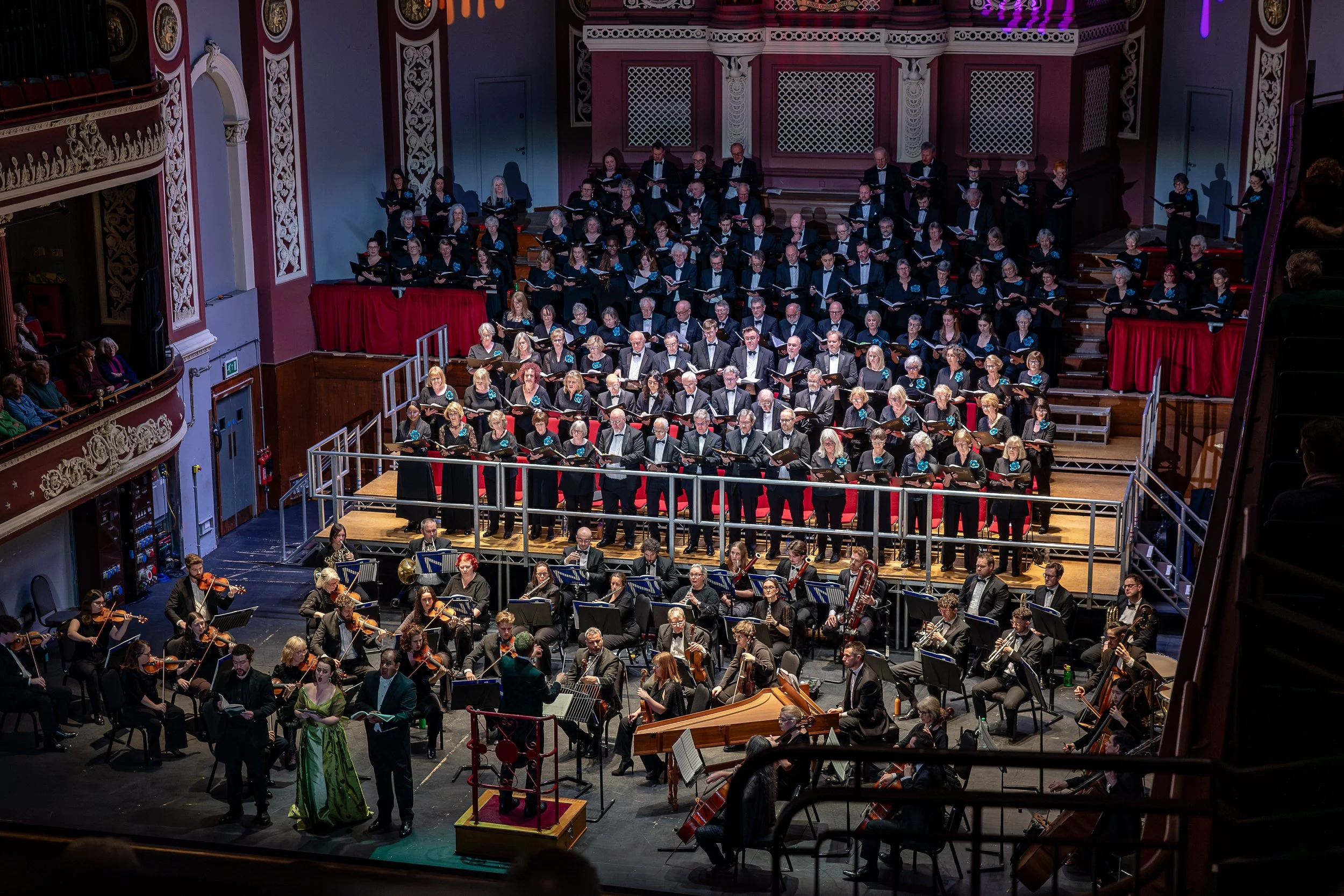 Haydn Creation - March 2026