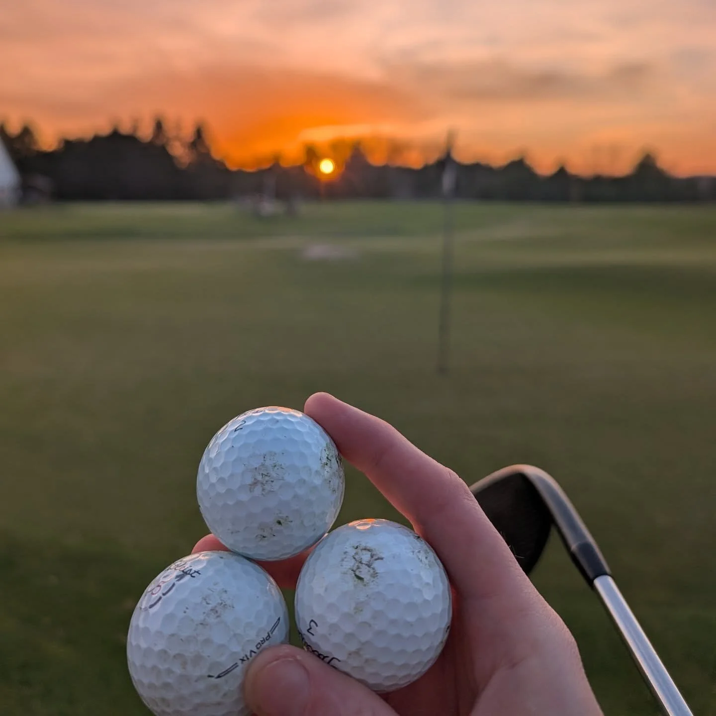 Glad I haven't had to buy these in 15 years. The solitude chip sess did a number.