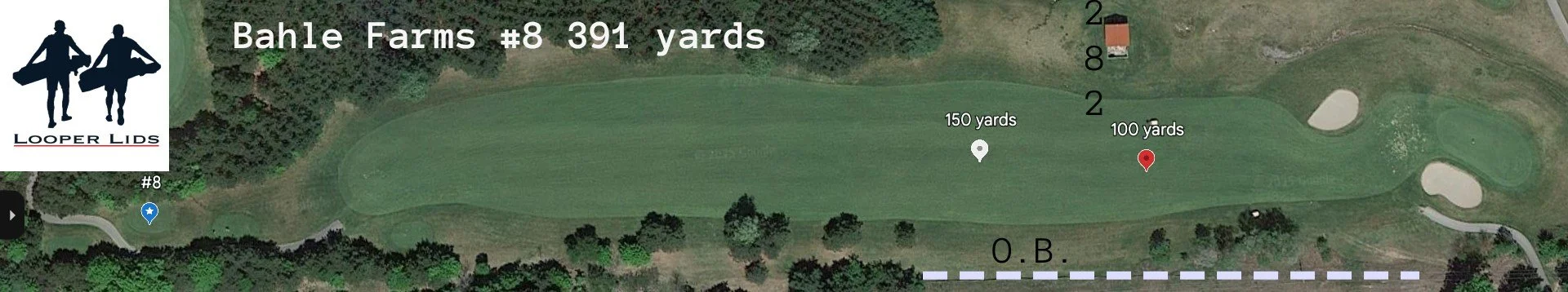 Bahle Farms hole aerial #8