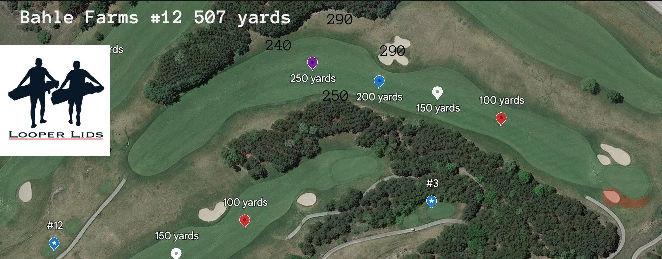 Bahle Farms hole aerial #12