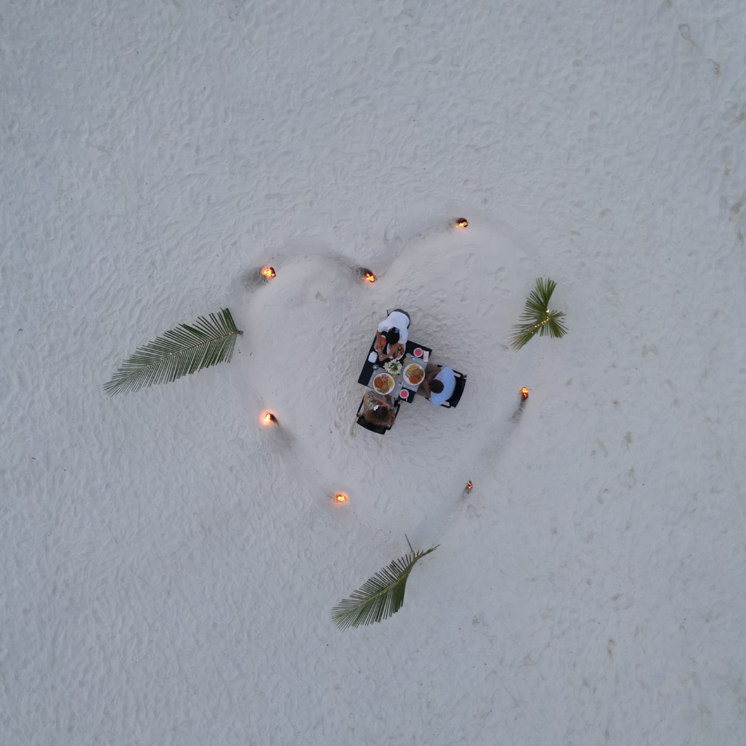 Beach dinner