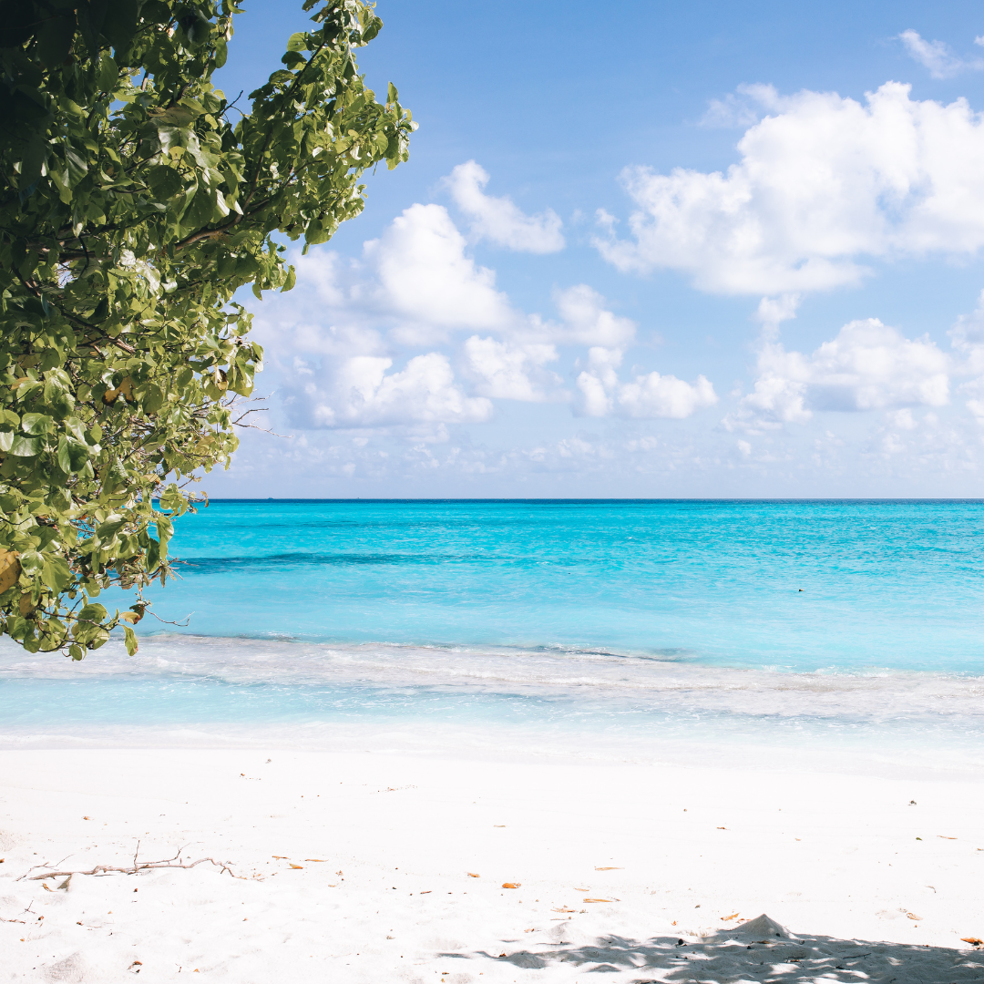 Zen Inn, Maldives, Fulhadhoo