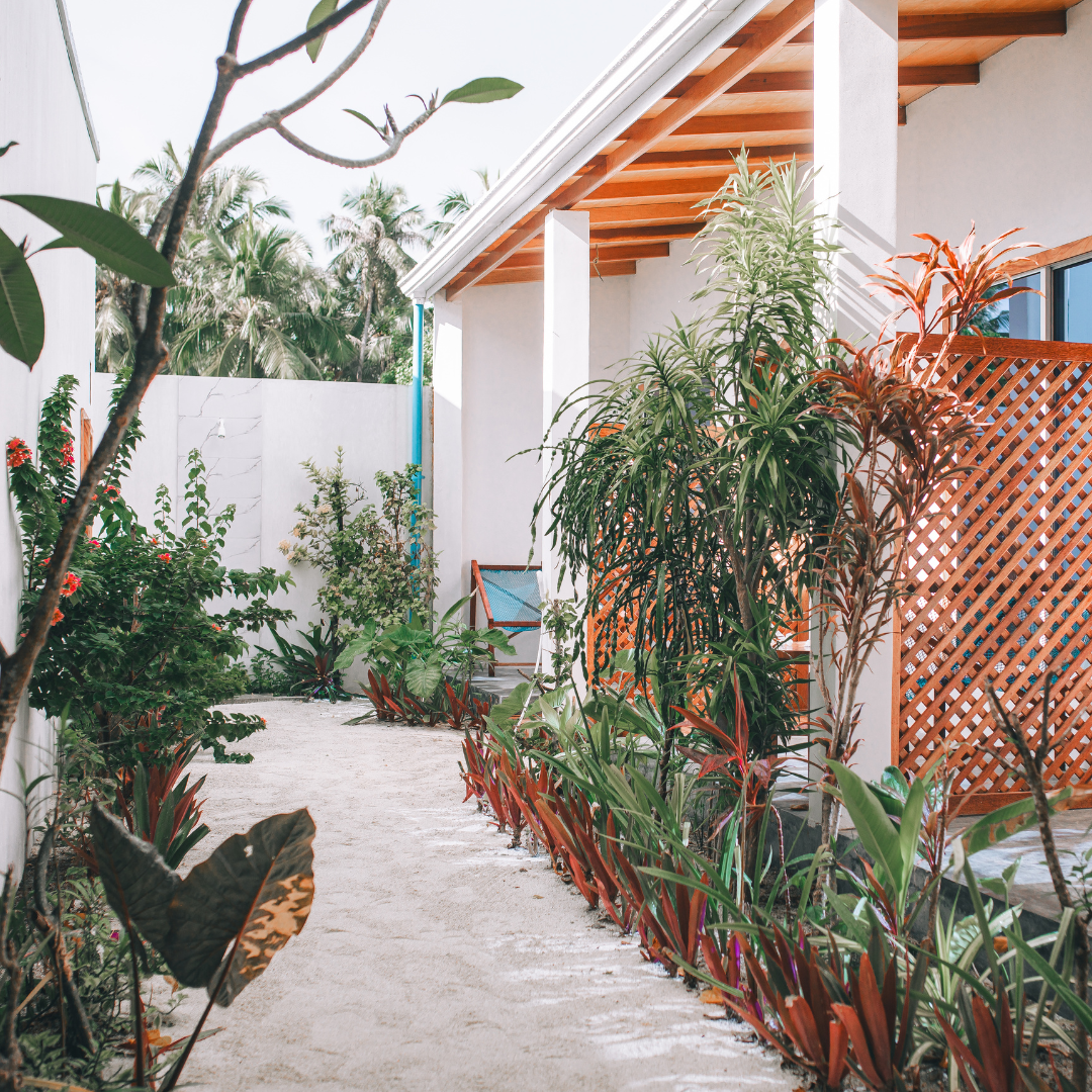 Frangipani Fulhadhoo, Maldives