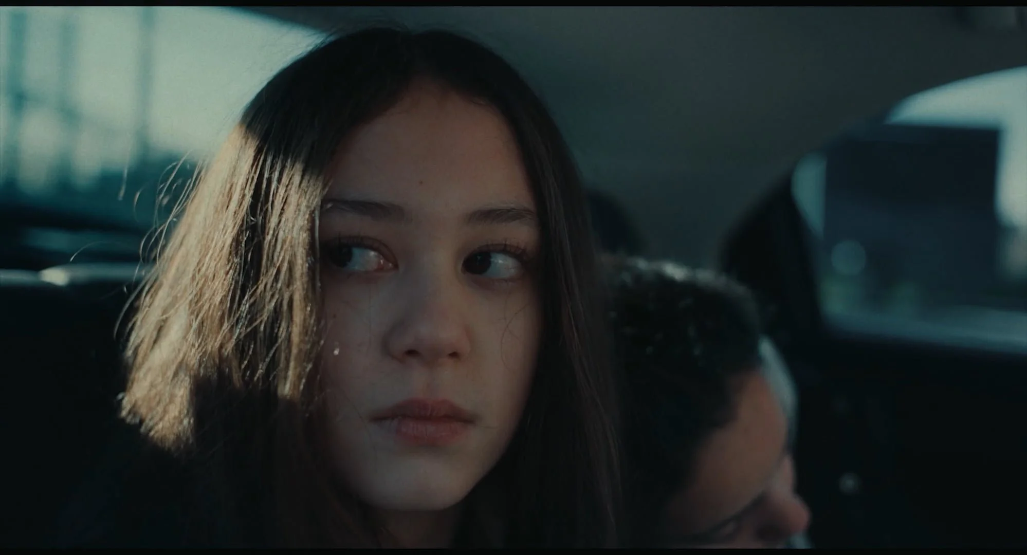 The Survivors Trust - Close to Home | Tash Tung | Sticker Studios