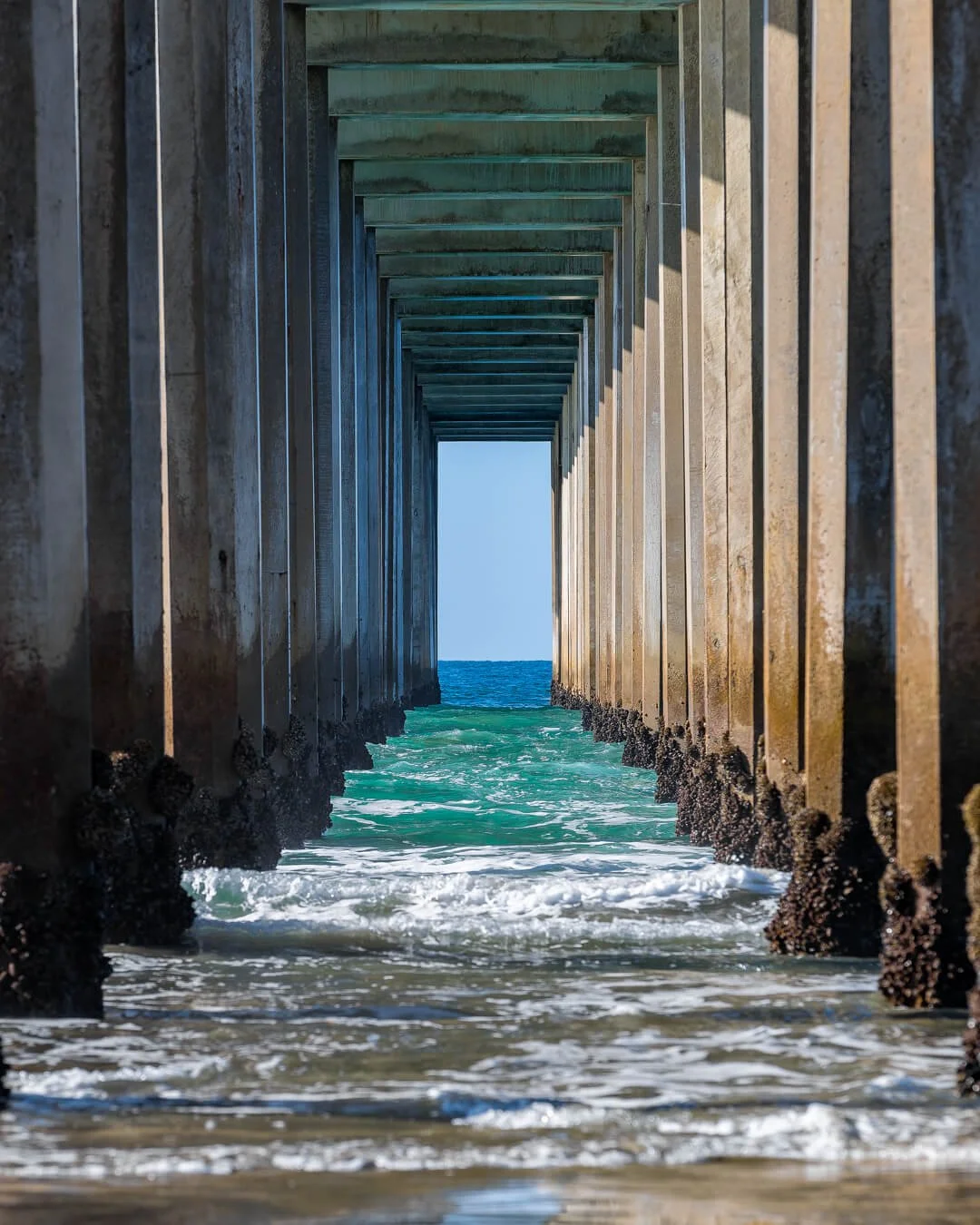 compos-ocean-san-diego-scripps-portal_P_P.jpg
