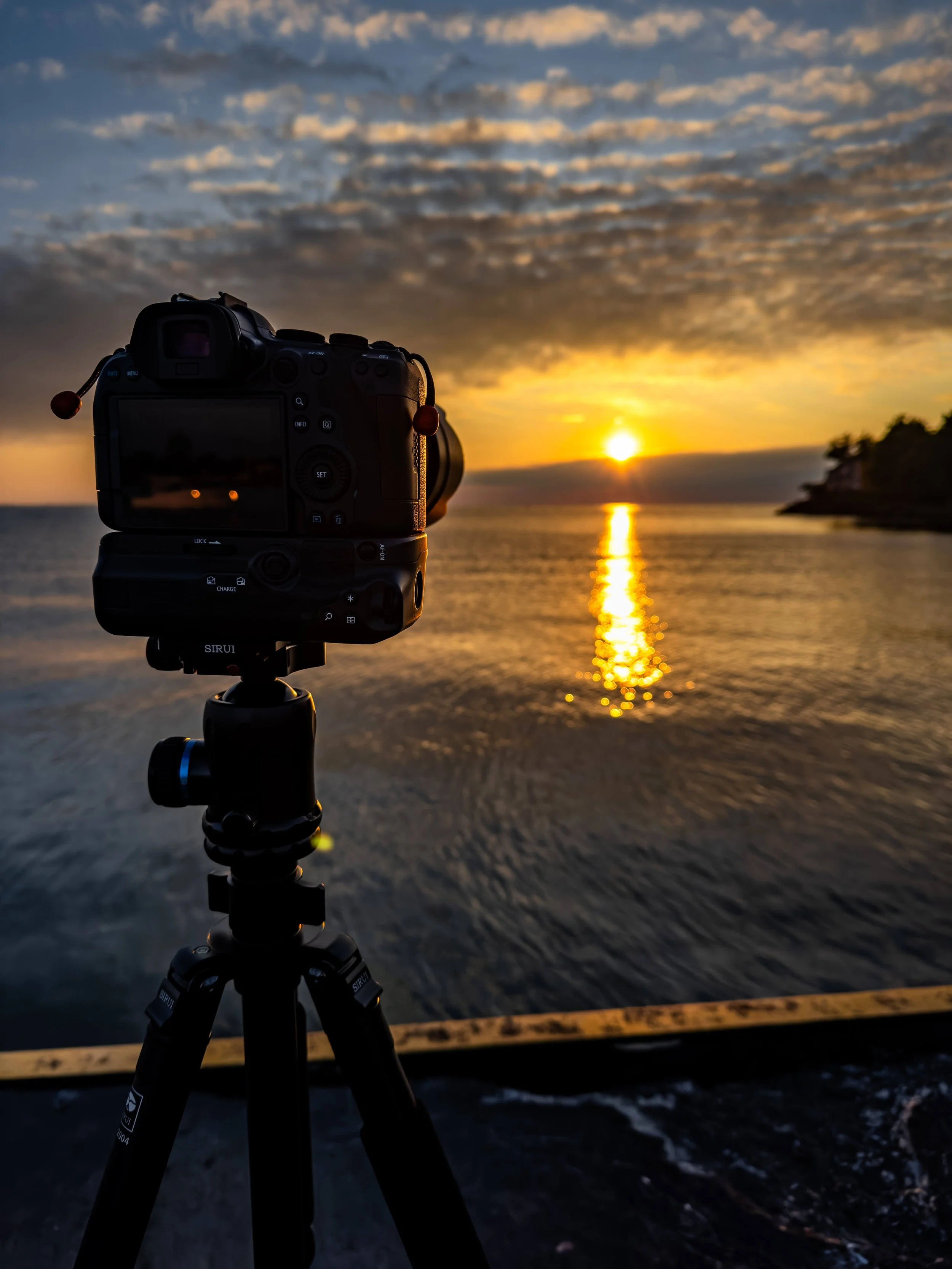 You Own the Camera: How to Take Control of Your Photography ...