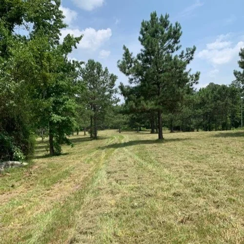 Our History | Learn More & Support Today — Circle Ranch