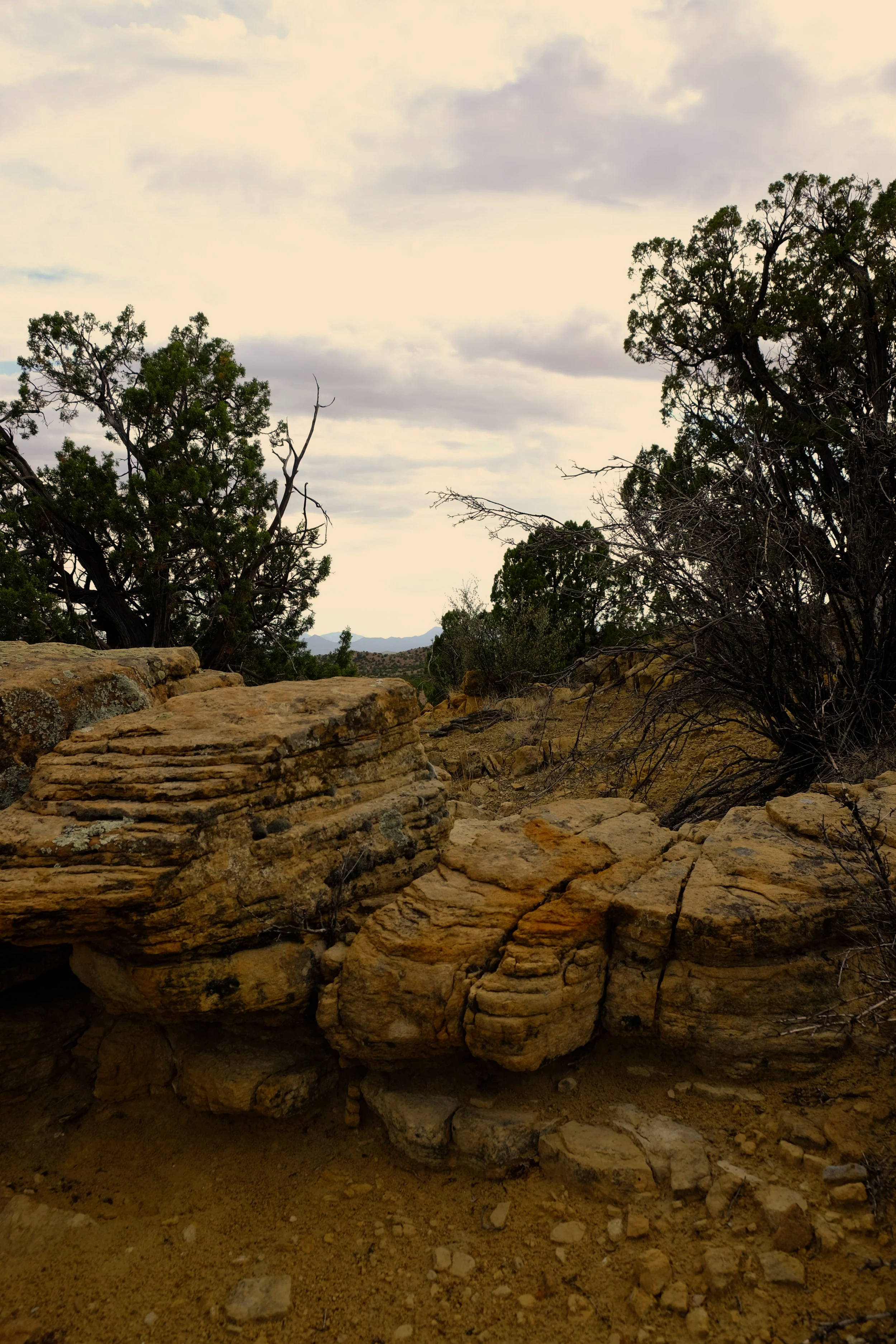 Rocky desert landscape with some green trees and a cloudy sky in the background.