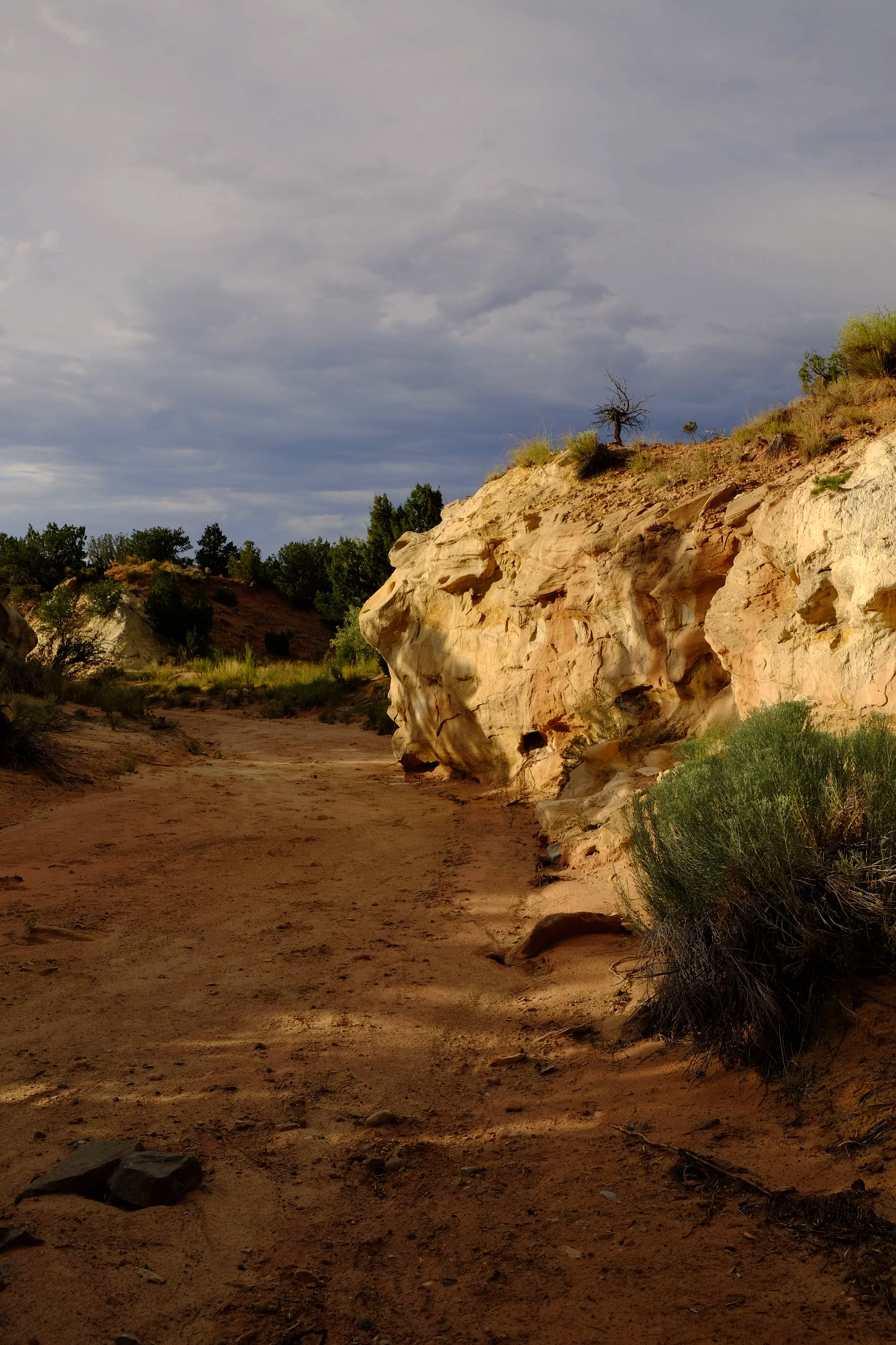 A dirt trail in a desert landscape with large white and beige rock formations, sparse vegetation, and a cloudy sky.