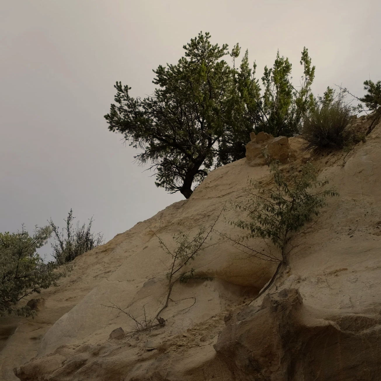 DSCF6852.png