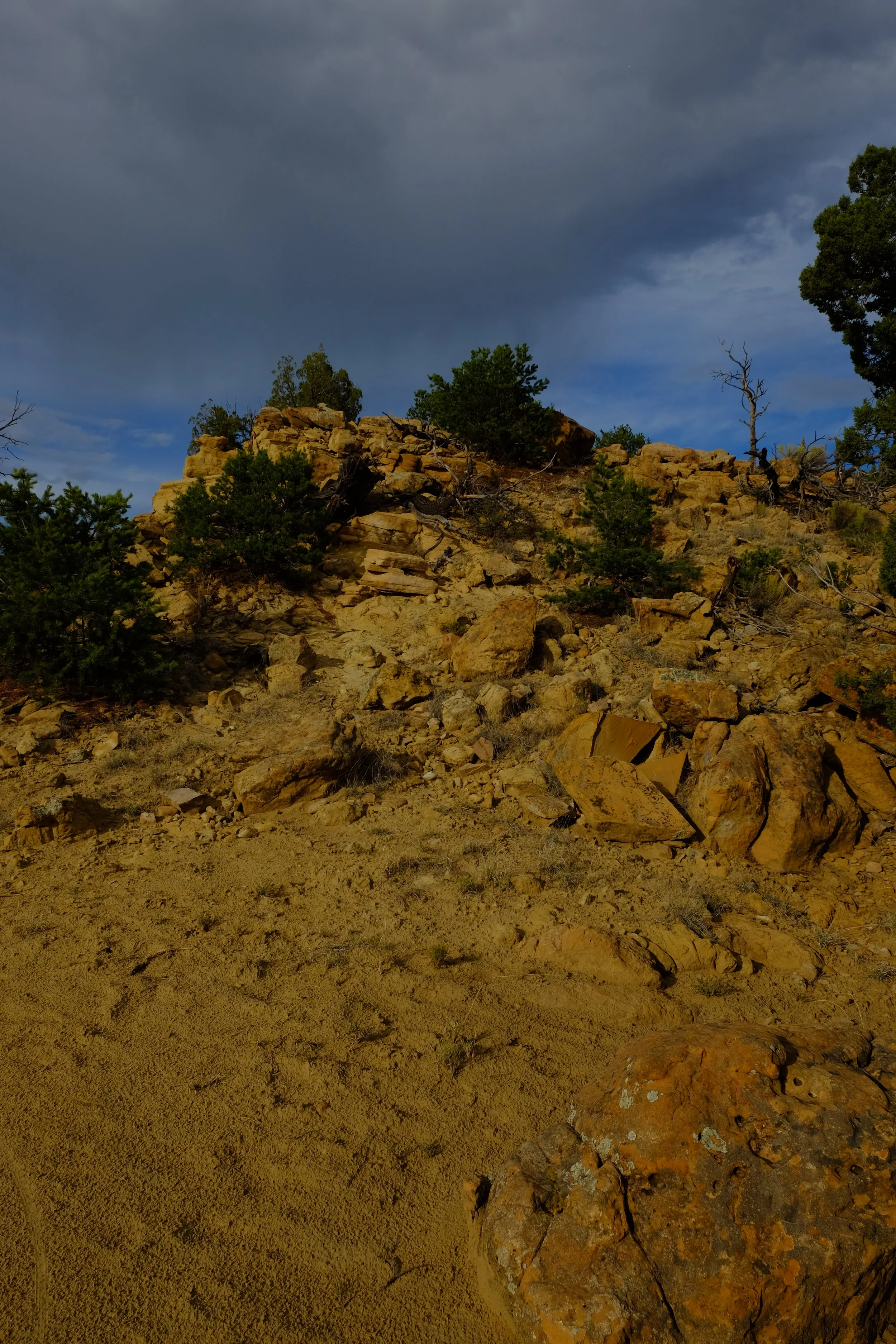 A rocky desert landscape with sparse green trees and a dark cloudy sky.