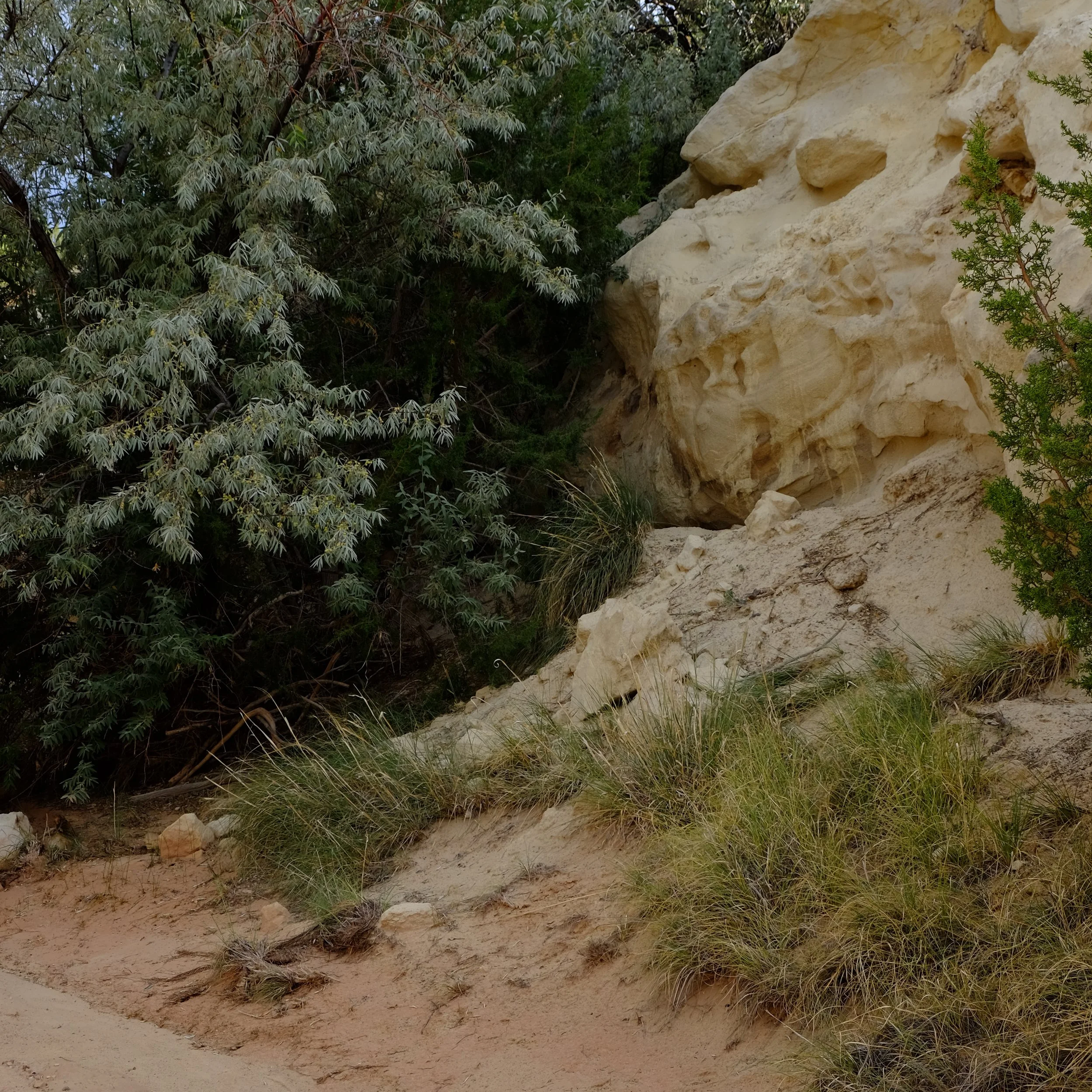 Photo of a dirt path next to a large, light-colored rock formation with small green plants and trees on the side.