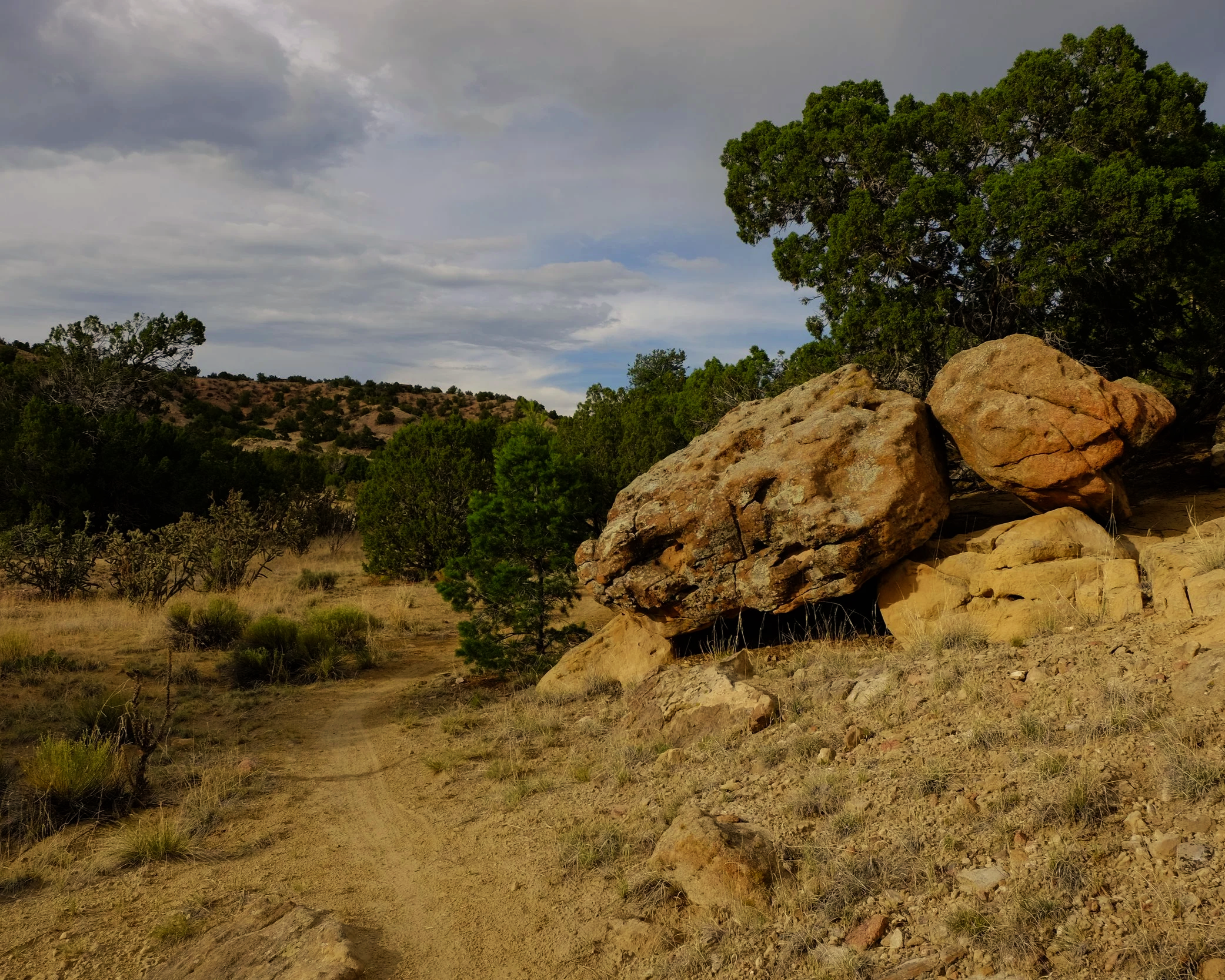 A scenic view of a semi-arid landscape with large rocks, sparse vegetation, and a few trees, under a cloudy sky.